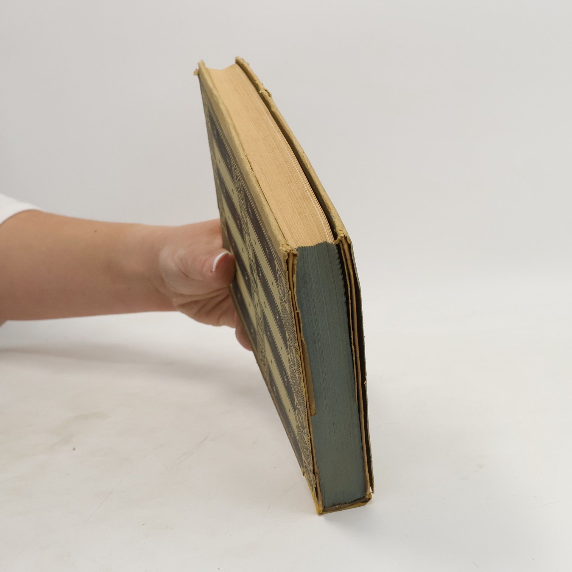 Collectif d'auteurs Dschuang Dsi. Das Wahre Buch vom Südlichen Blütenland