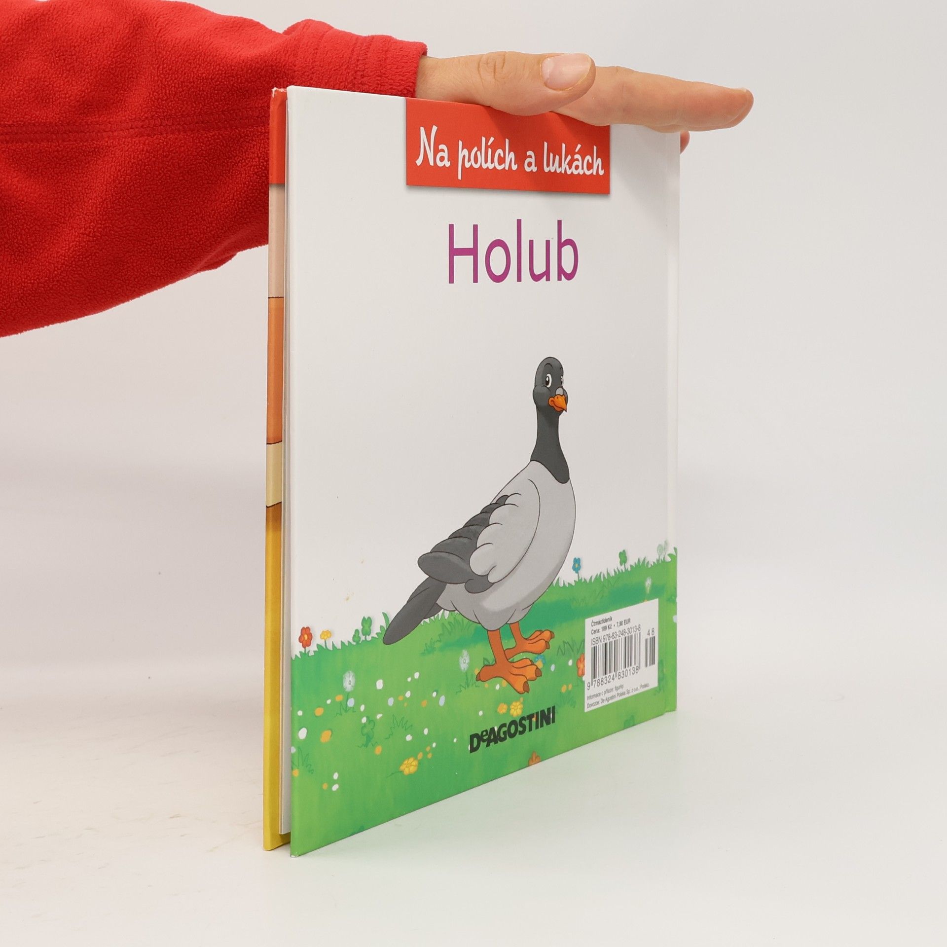 Amelia Bruni Na polích a lukách 47. Holub
