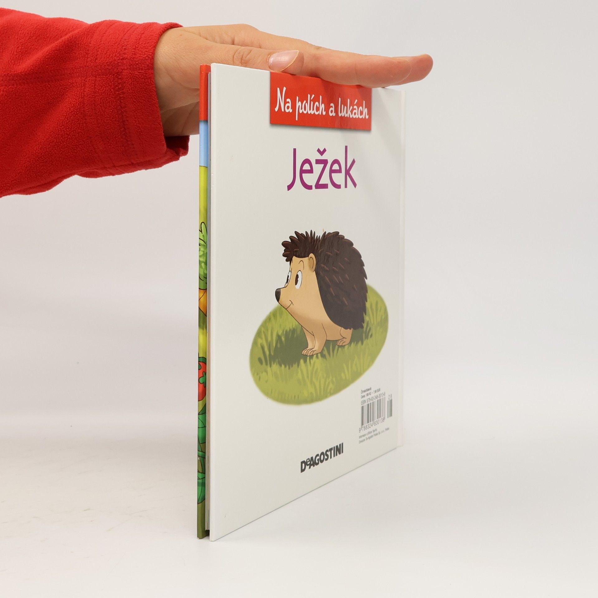Autorenkollektiv Na polích a lukách 11. Ježek