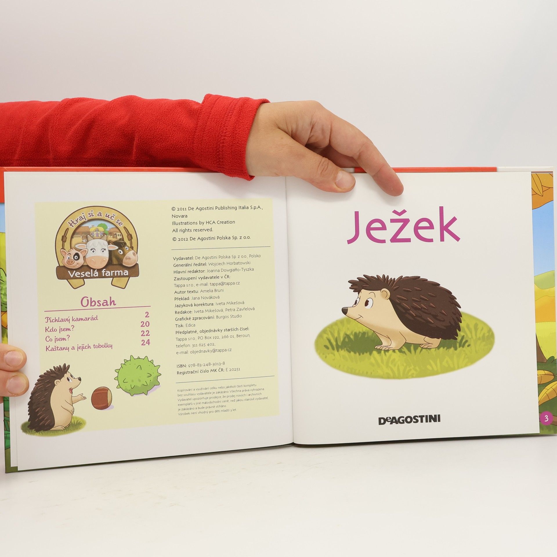Autorenkollektiv Na polích a lukách 11. Ježek