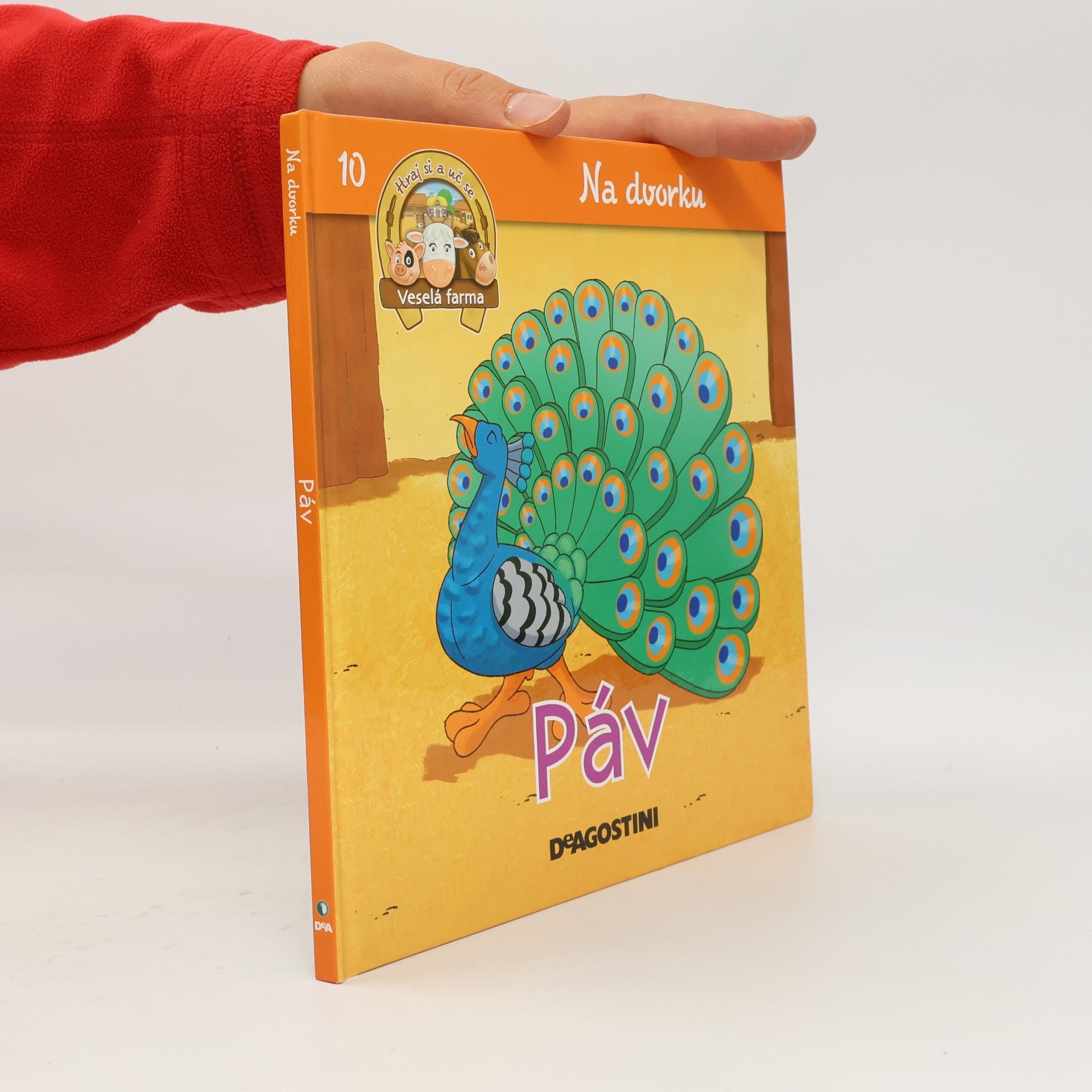 Na dvorku 10. Páv