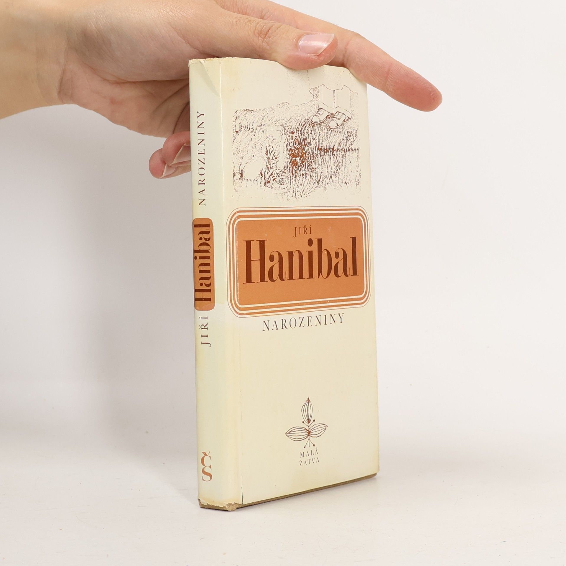 Narozeniny