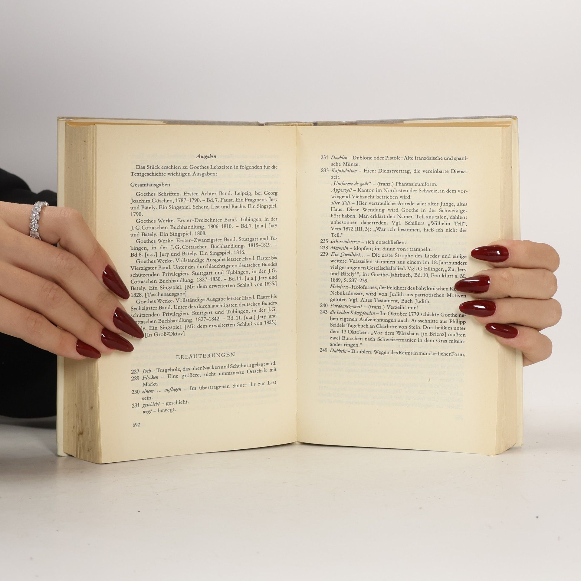 Goethe Gedichte und Singspiele 4