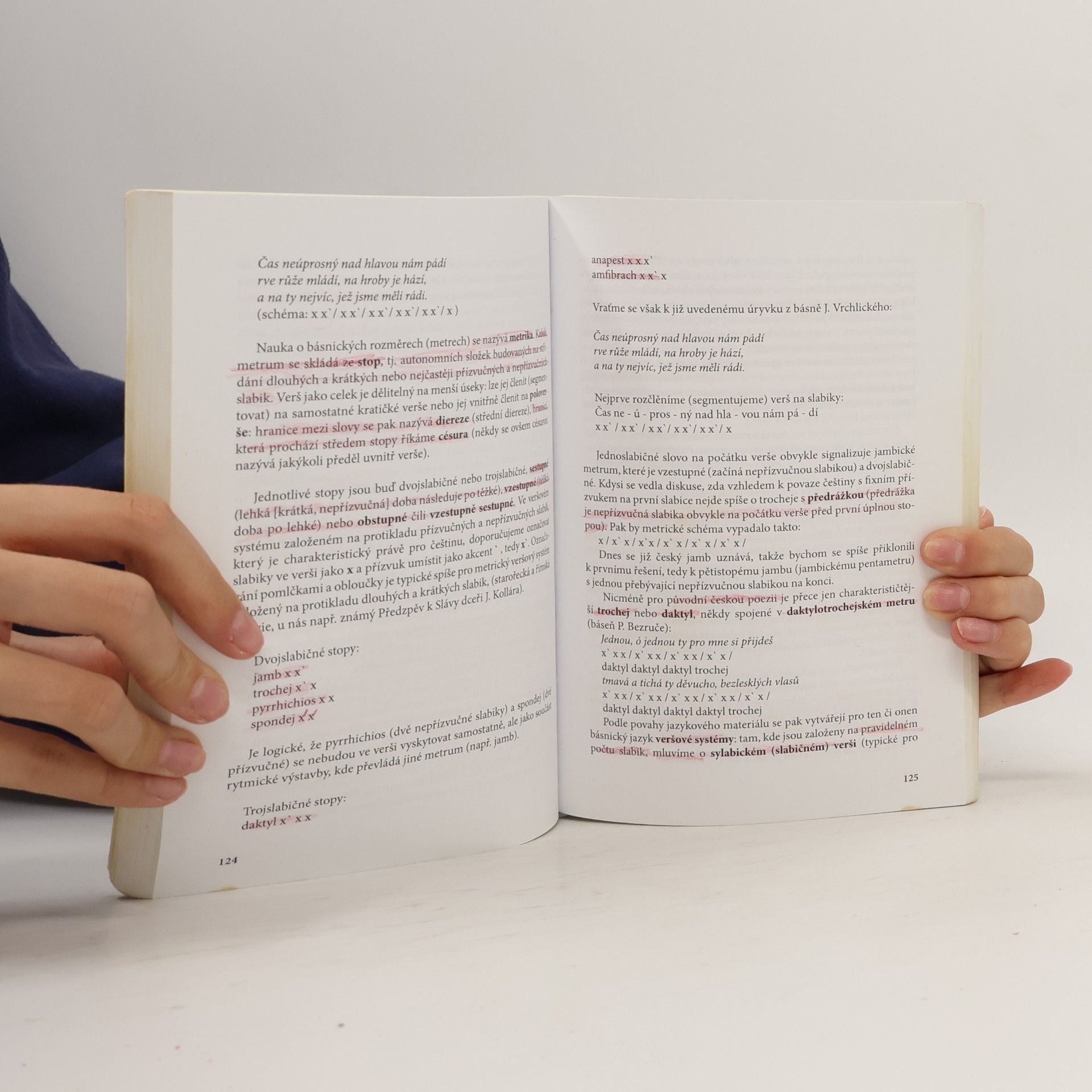 Ivo Pospíšil Základní okruhy filologické a literárněvědné metodologie a teorie (elementy, materiály, úvahy, pojetí, texty)