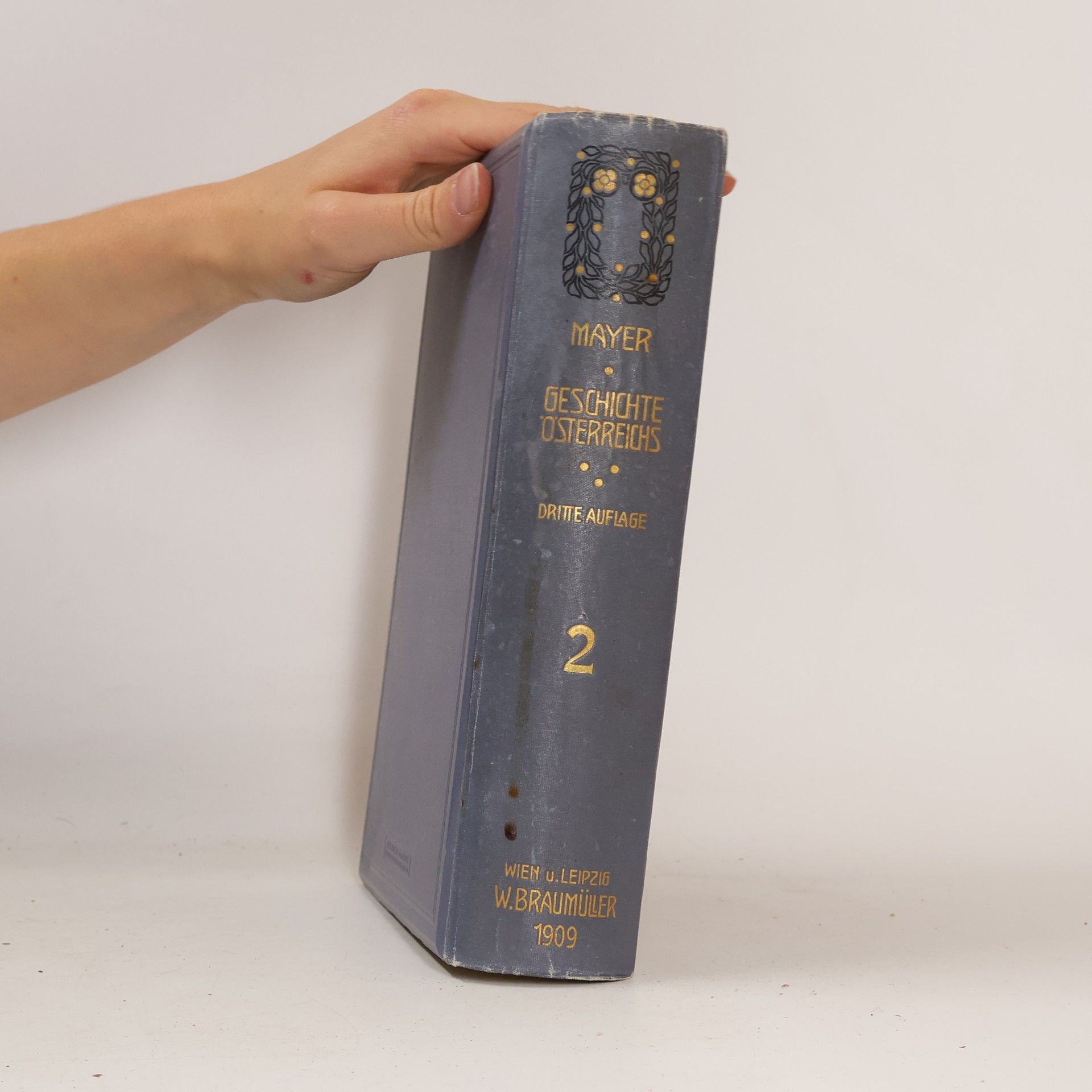 Franz Martin Mayer Geschichte Österreichs mit besonderer Rücksicht auf das Kulturleben 2