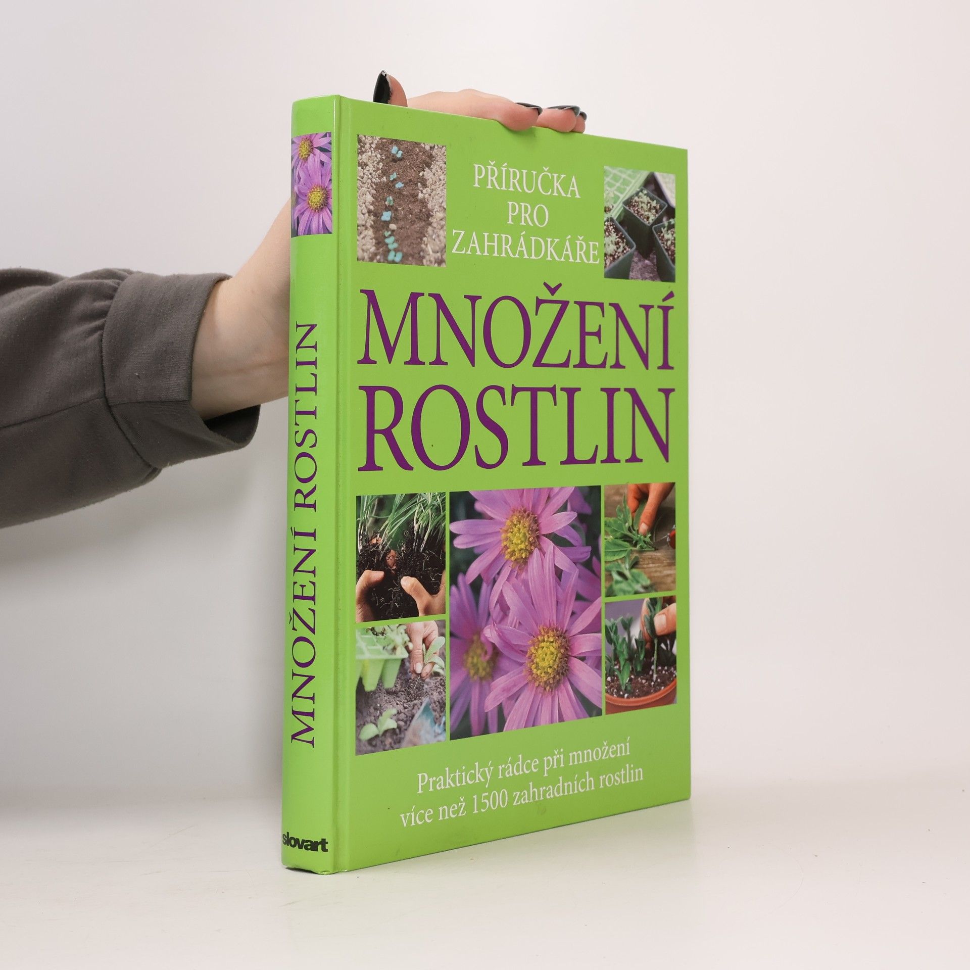 Množení rostlin