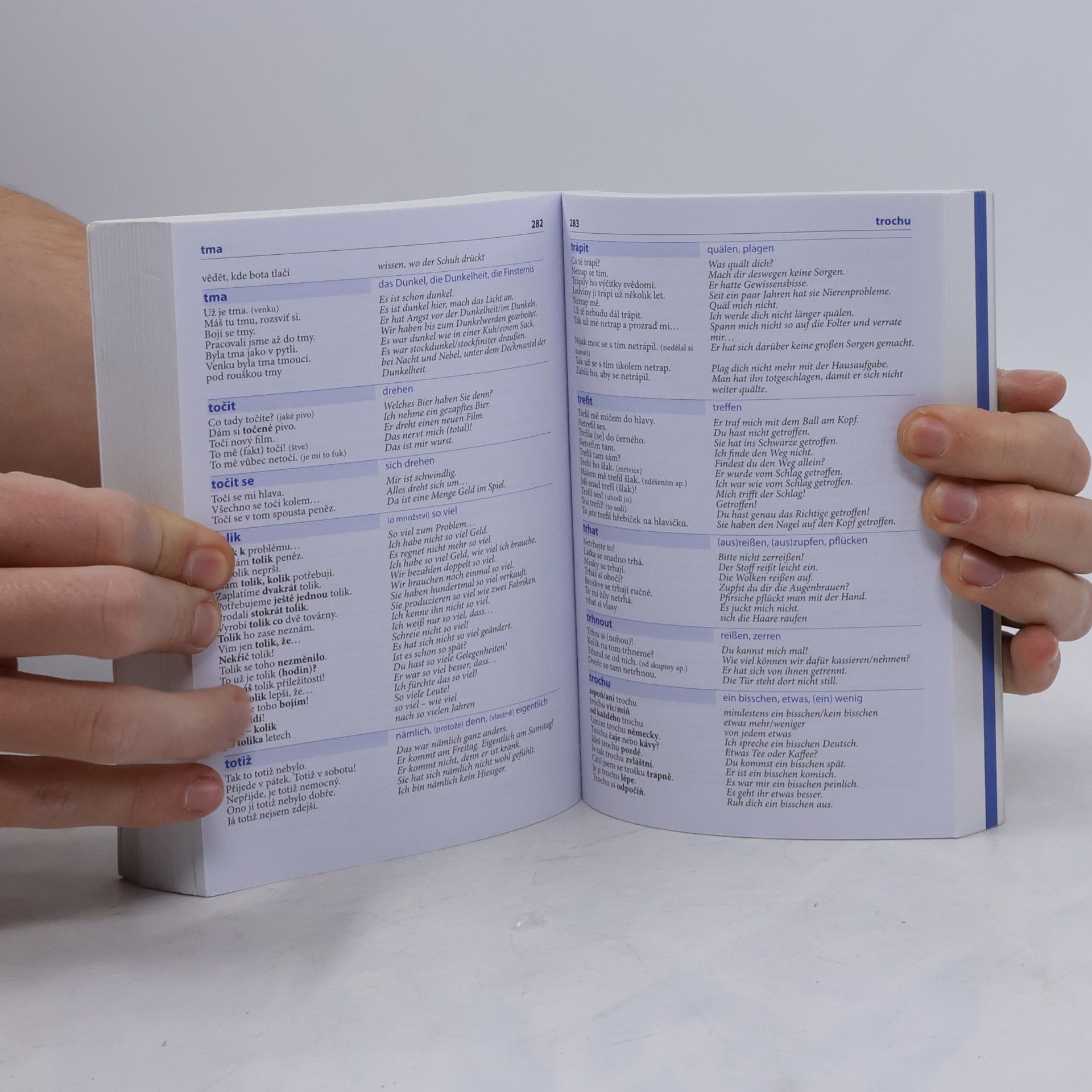 Autorenkollektiv Česko-německý mluvník