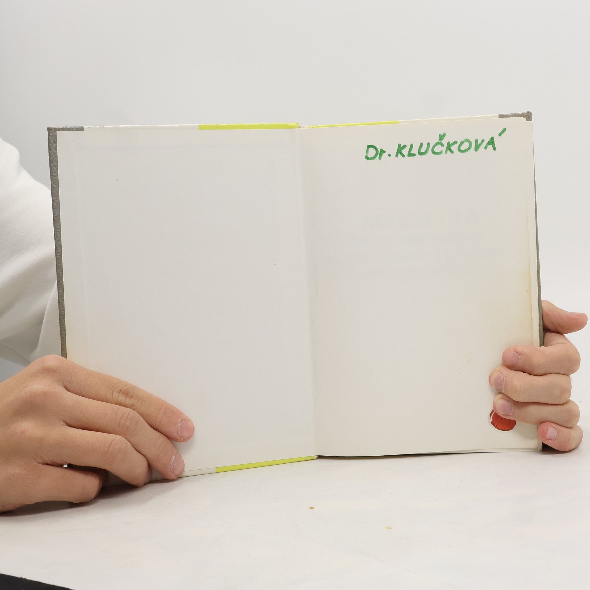Autorenkollektiv MKCH-10 Medzinárodná štatistická klasifikácia chorôb a príbuzných zdravotných problémov. 10. revízia. Príručka