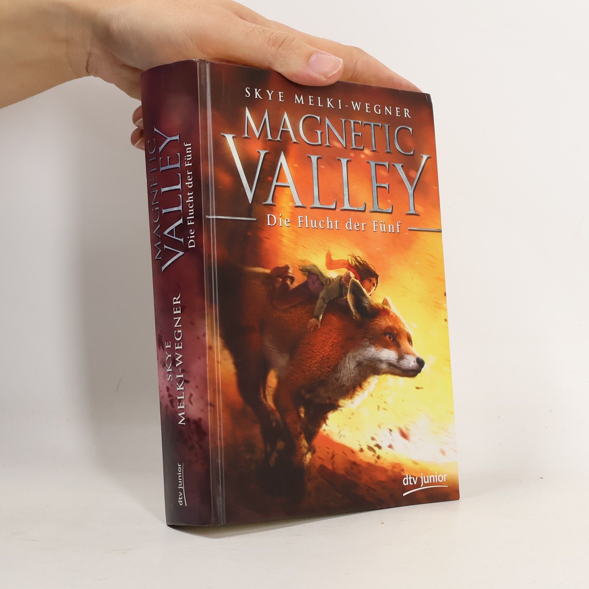 Magnetic Valley - Die Flucht der Fünf