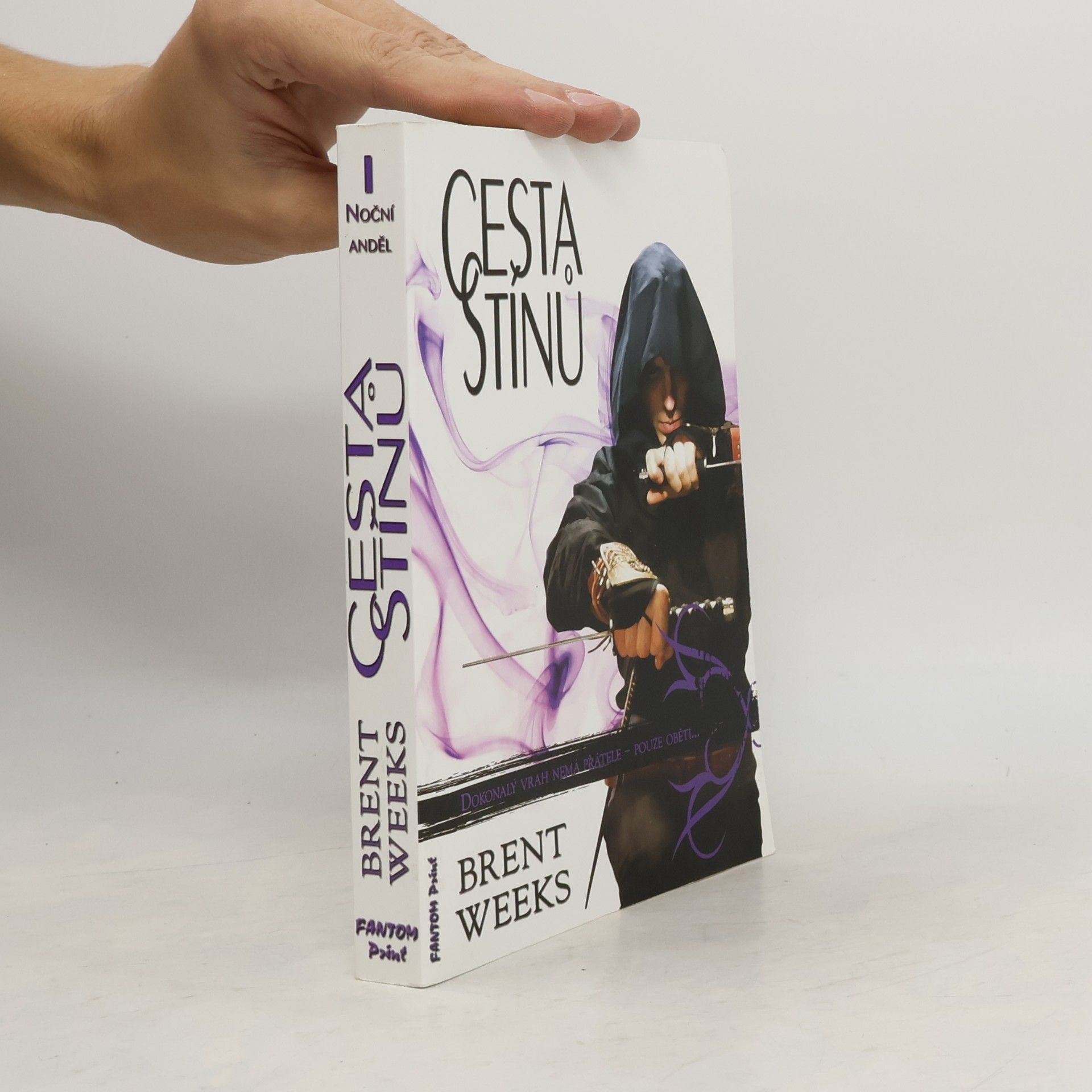 Cesta stínů