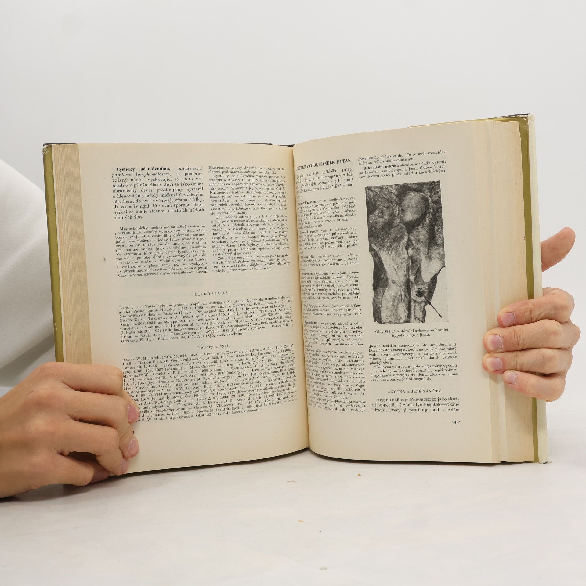 Blahoslav Bednář Patologická anatomie II/1