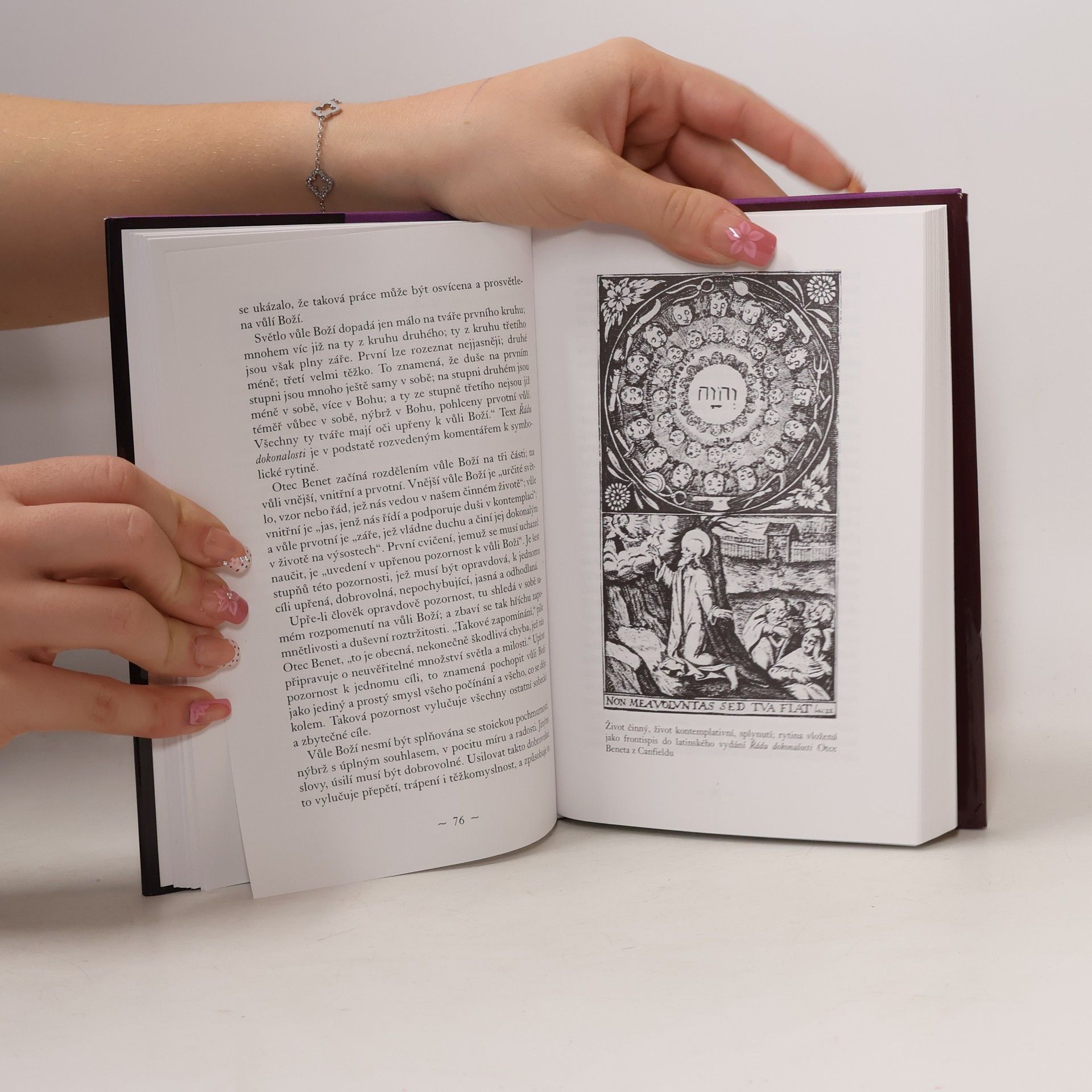Aldous Huxley Šedá eminence : život v náboženství a v politice