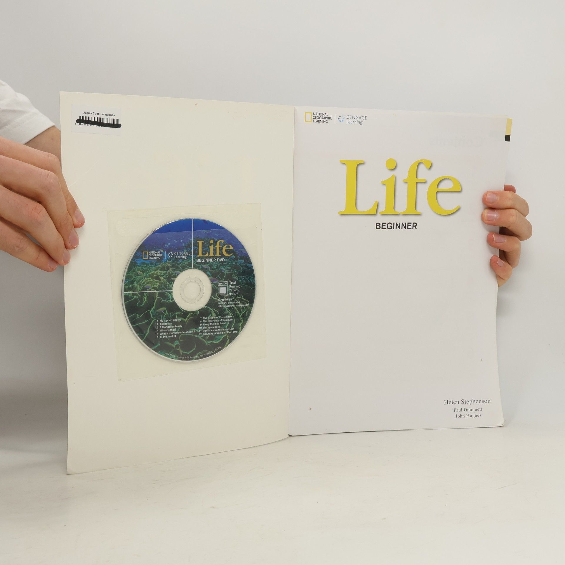Helen Stephenson Life Beginner