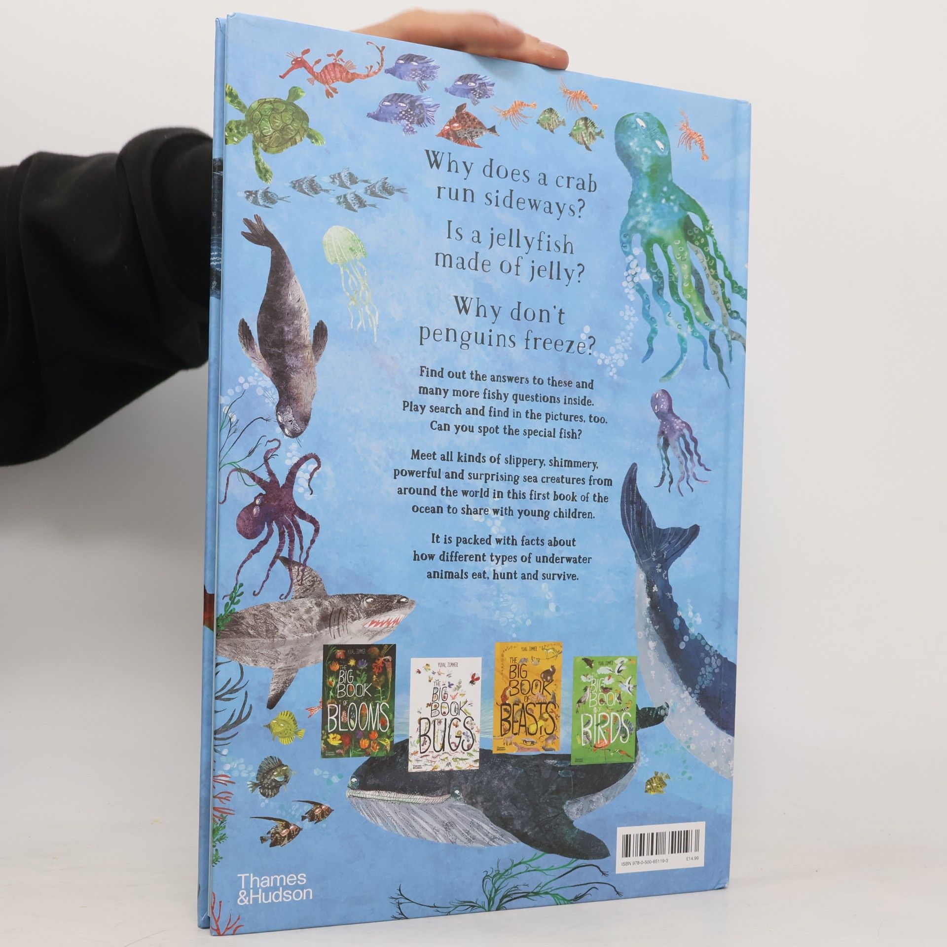 Yuval Zommer The Big Book of the Blue