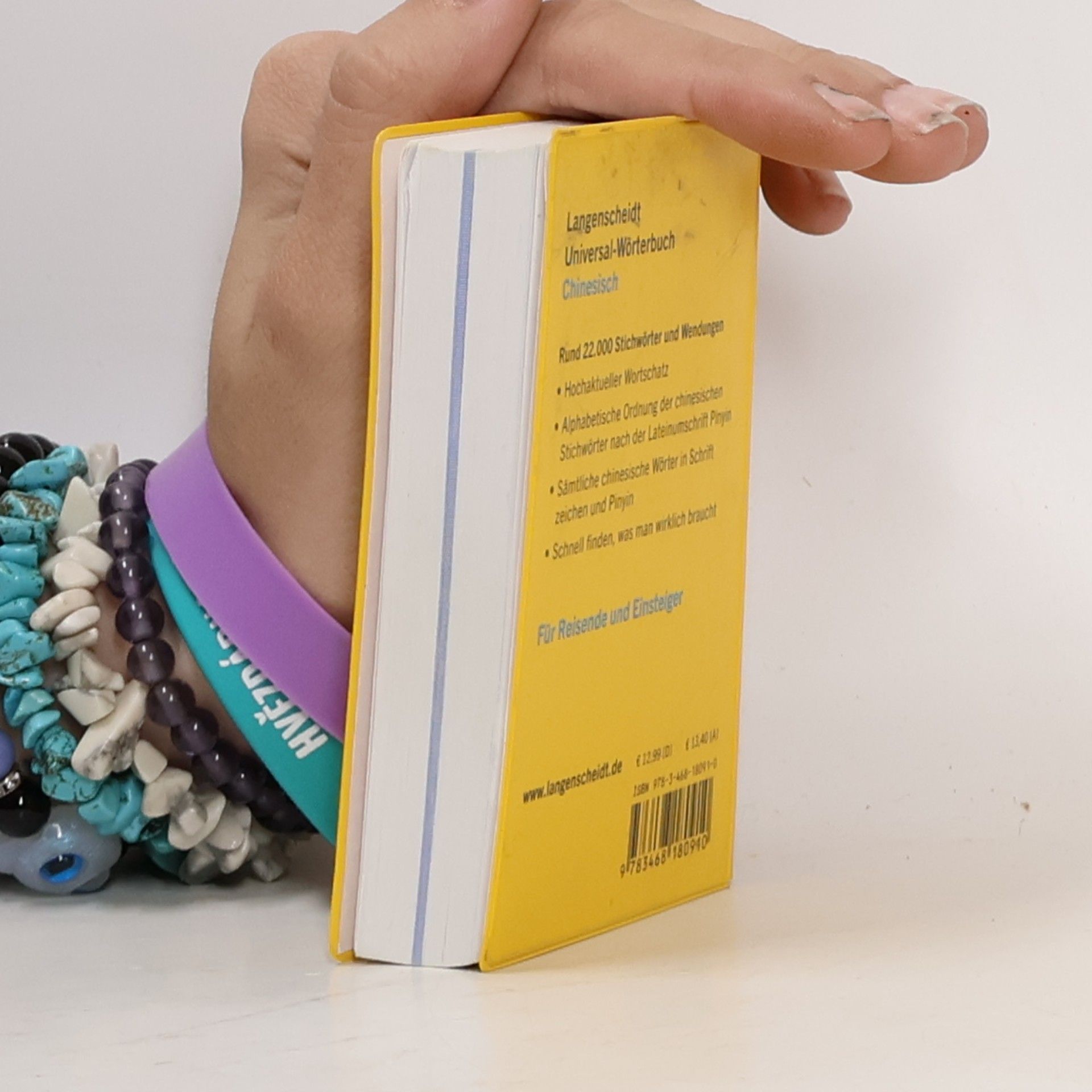 Pu Wang-Schütze Langenscheidt Universal-Wörterbuch Chinesisch