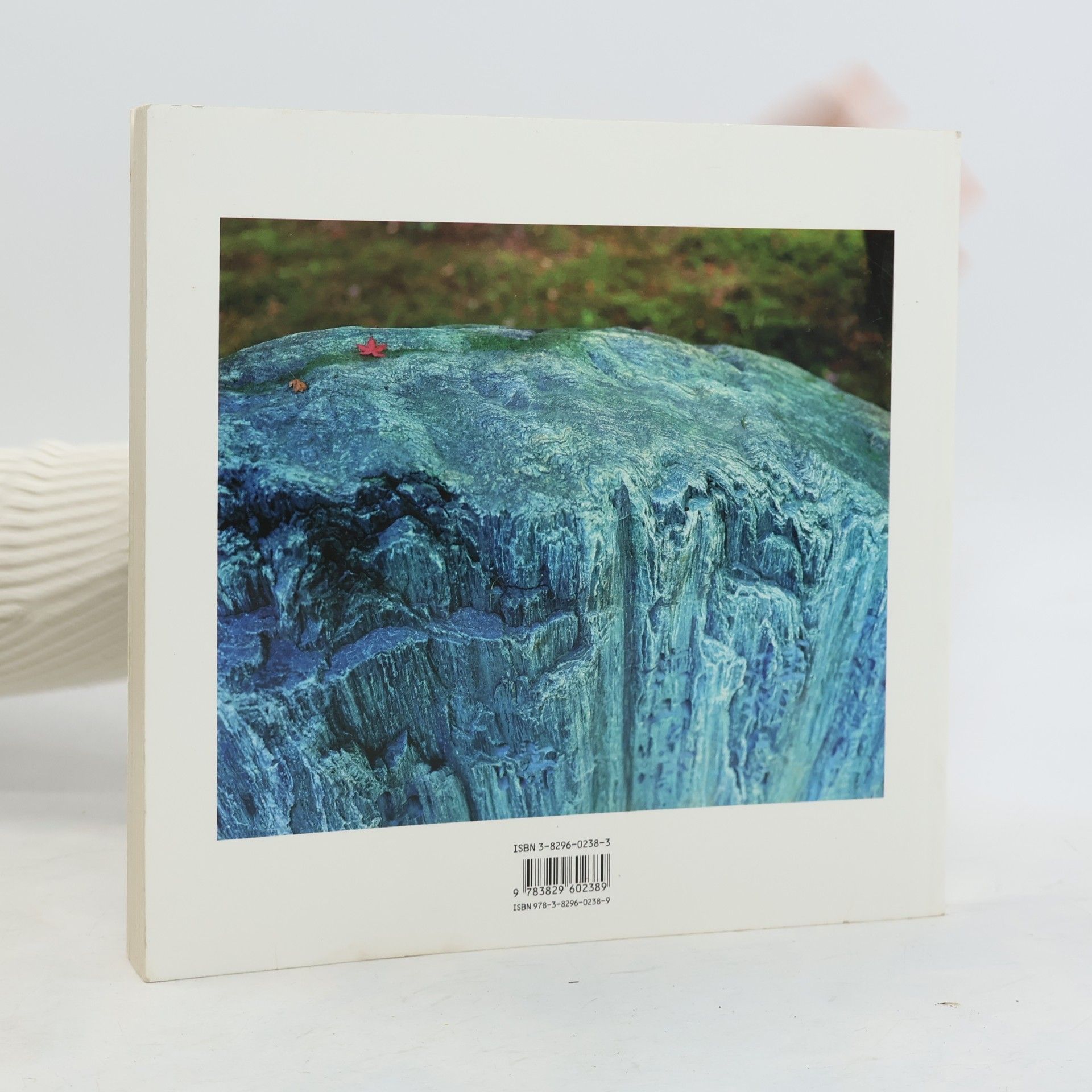Wim Wenders Pictures from the Surface of the Earth