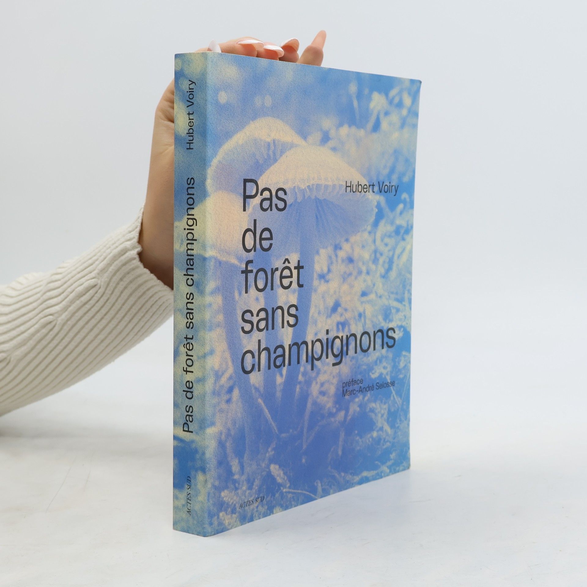 Pas de forêt sans champignons