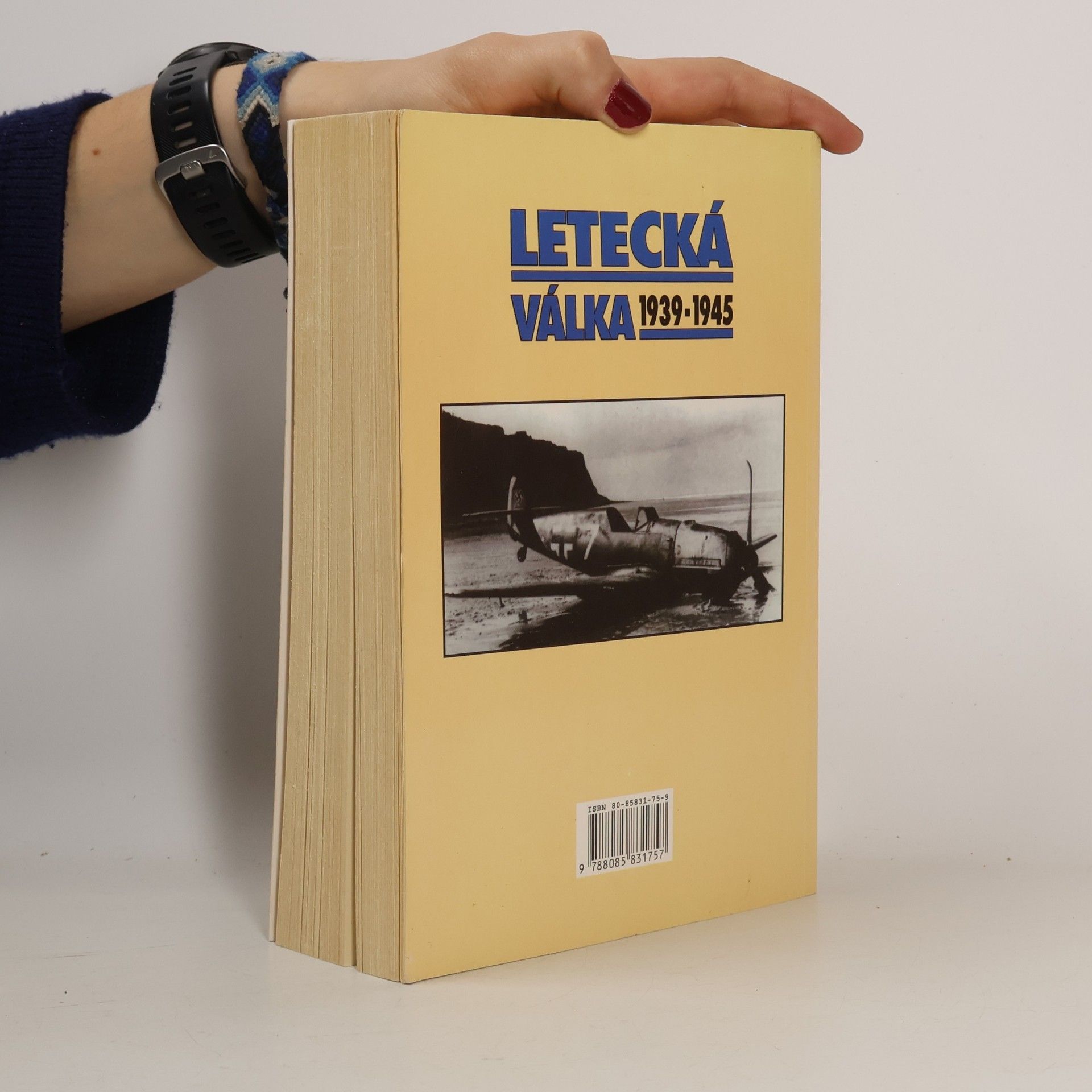 Petr Bauer Letecká válka 1939-1945