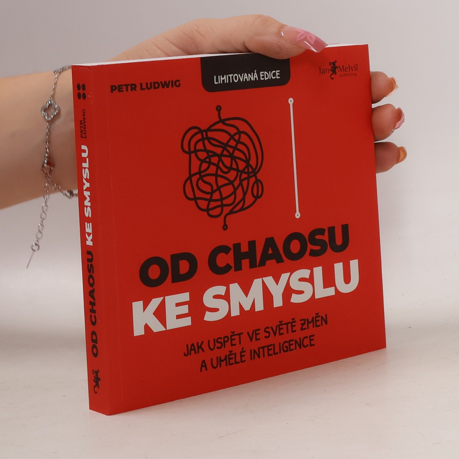 Od chaosu ke smyslu