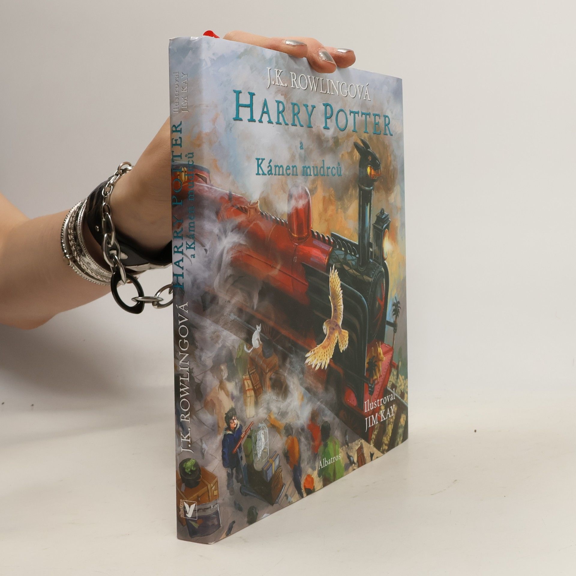 Harry Potter a kámen mudrců