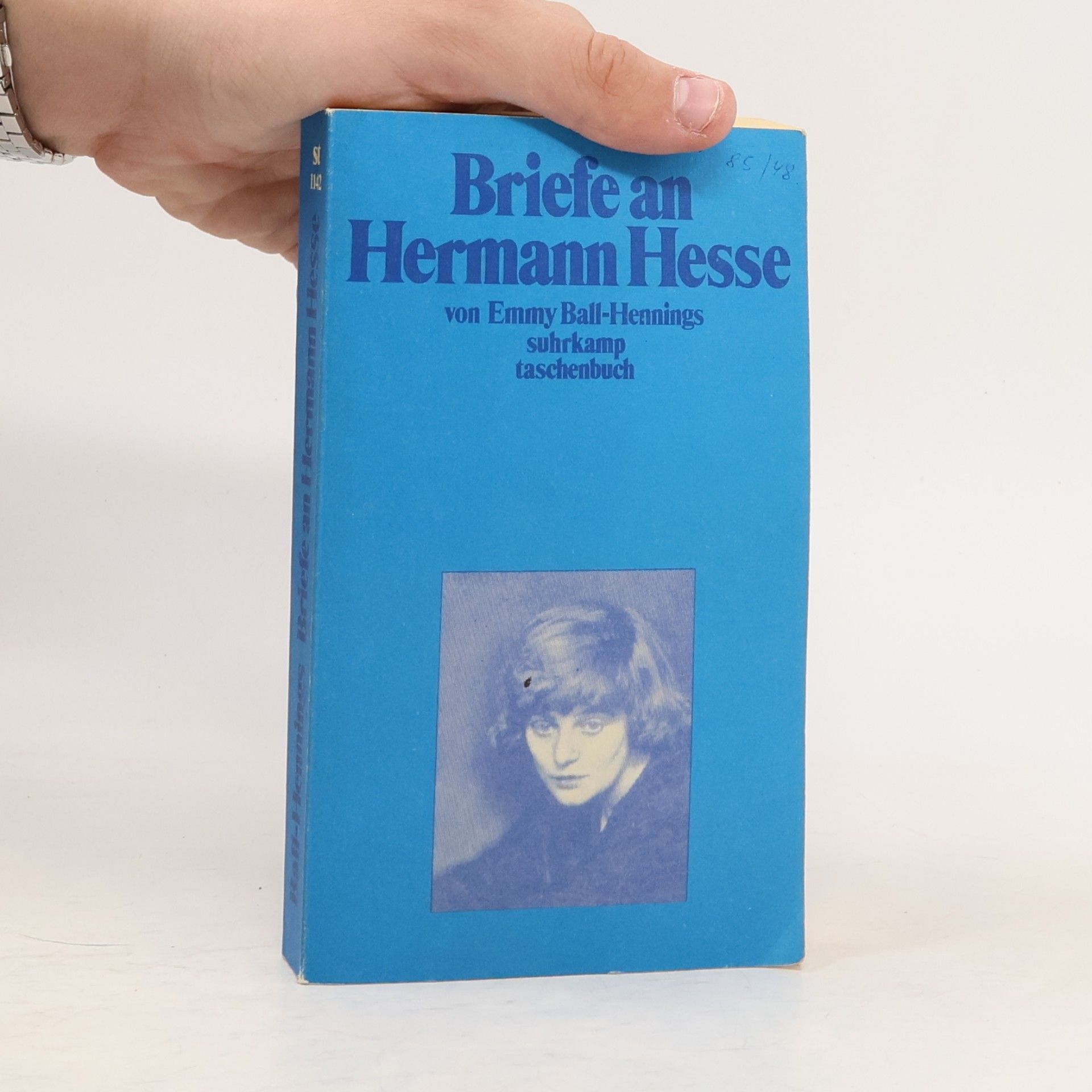 Briefe an Hermann Hesse