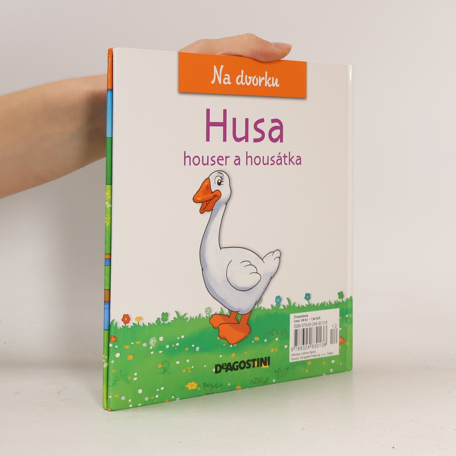 Autorenkollektiv Na dvorku 29. Husa
