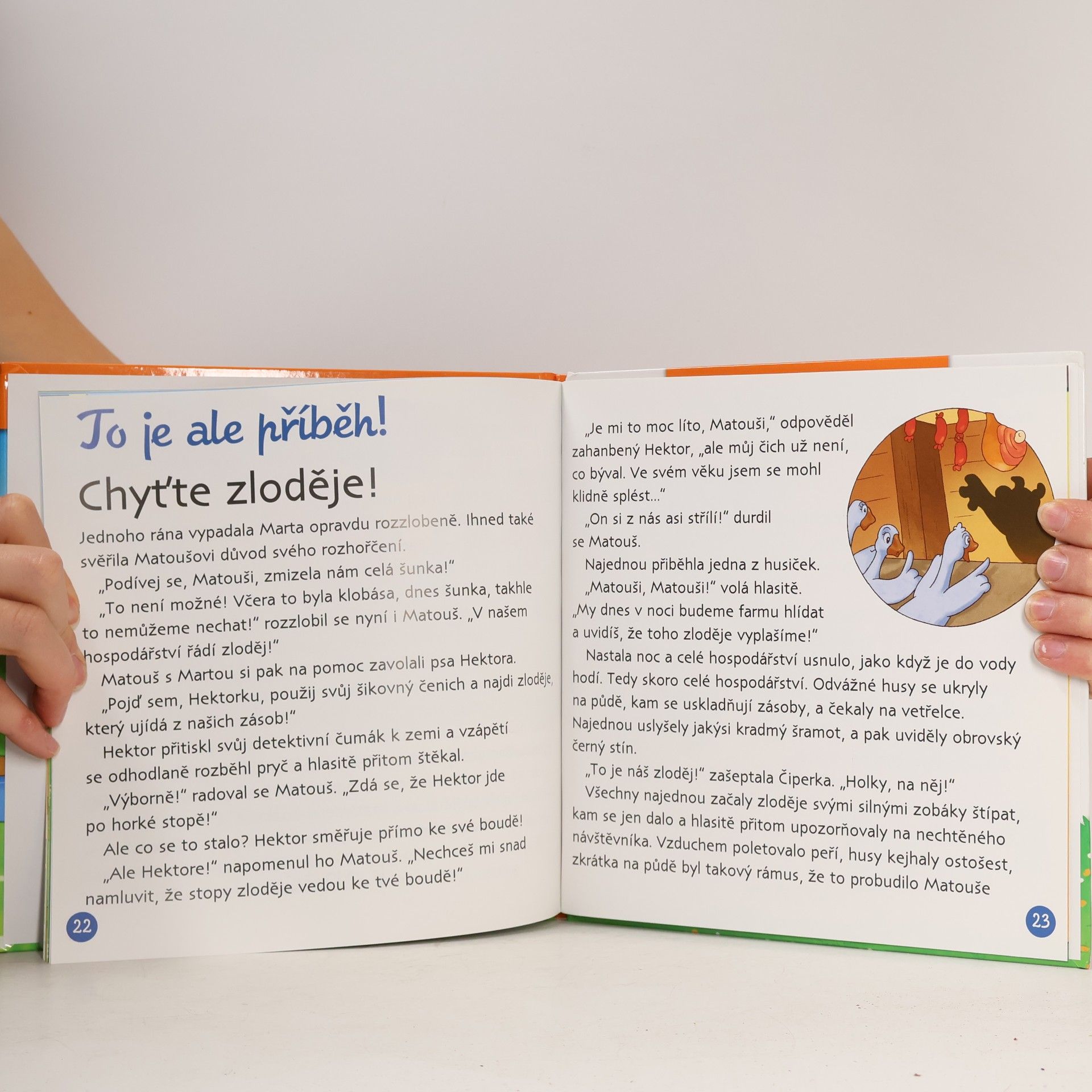 Autorenkollektiv Na dvorku 29. Husa