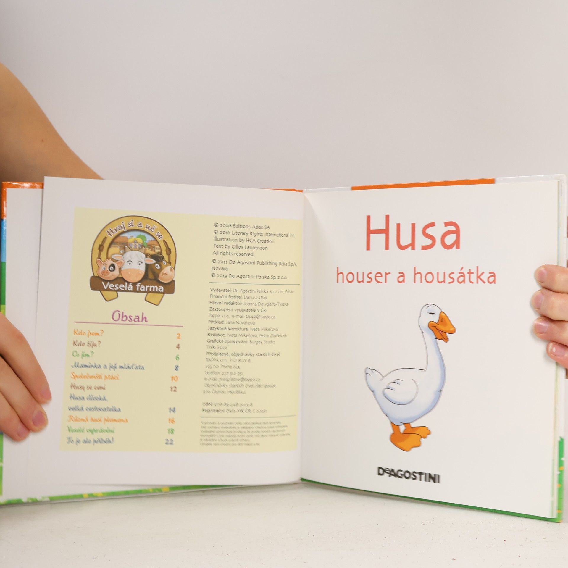 Autorenkollektiv Na dvorku 29. Husa