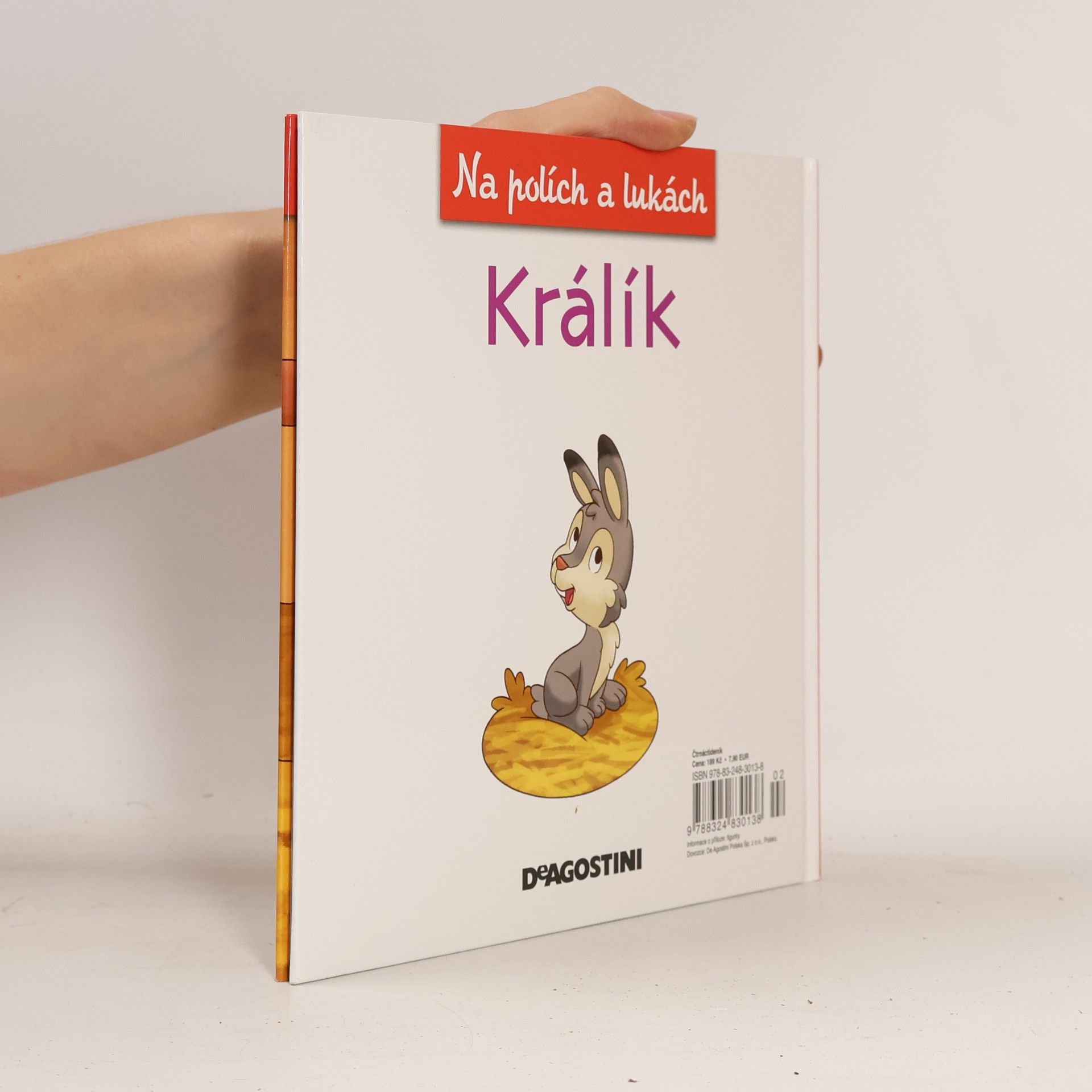 Kolektív autorov Na polích a lukách 24. Králík