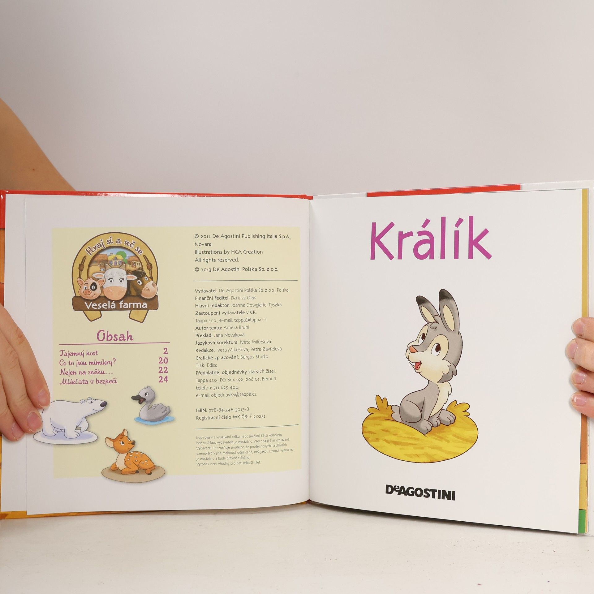 Kolektív autorov Na polích a lukách 24. Králík