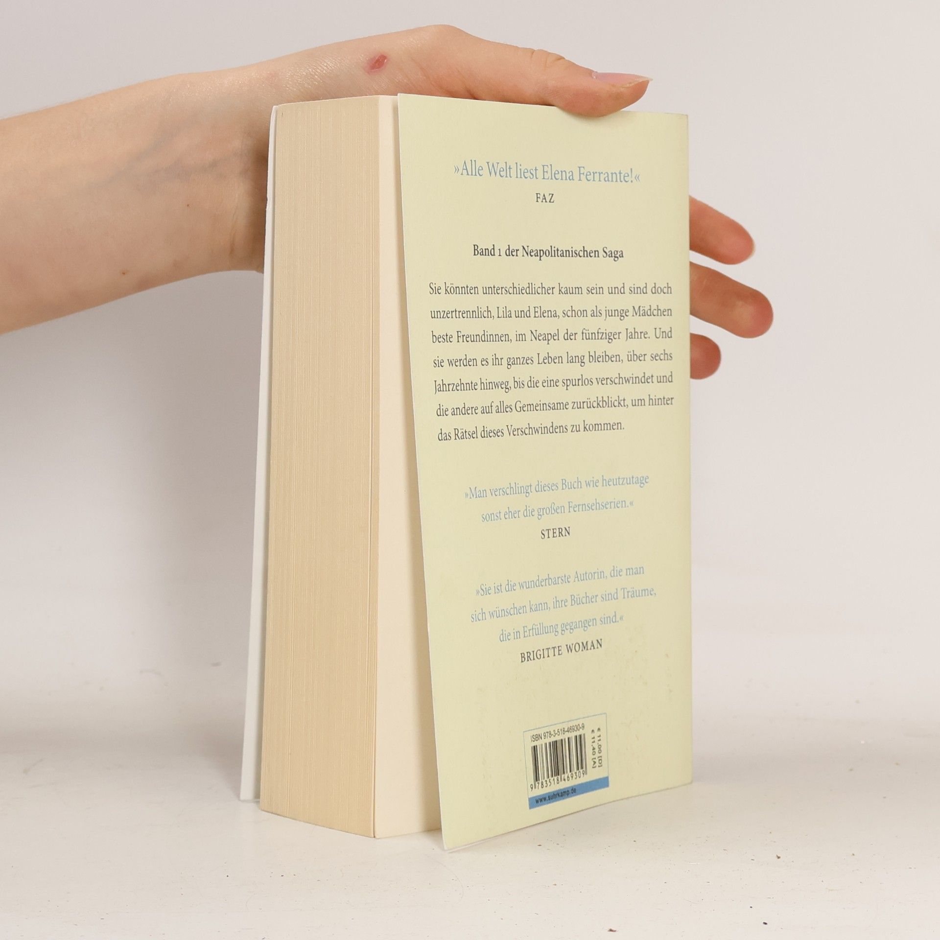 Elena Ferrante Meine geniale Freundin