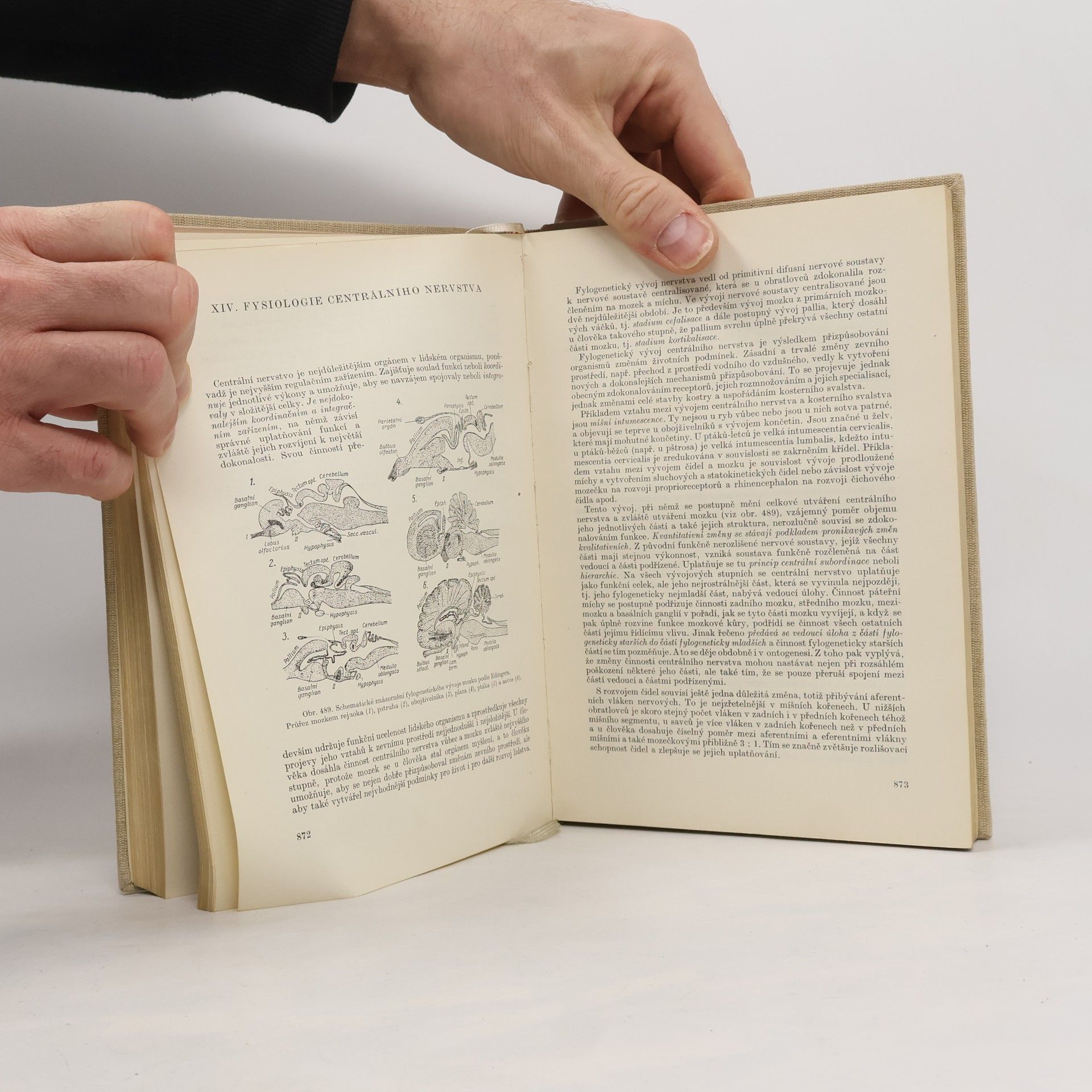 Collectif d'auteurs Učebnice fysiologie pro studující lékařství II