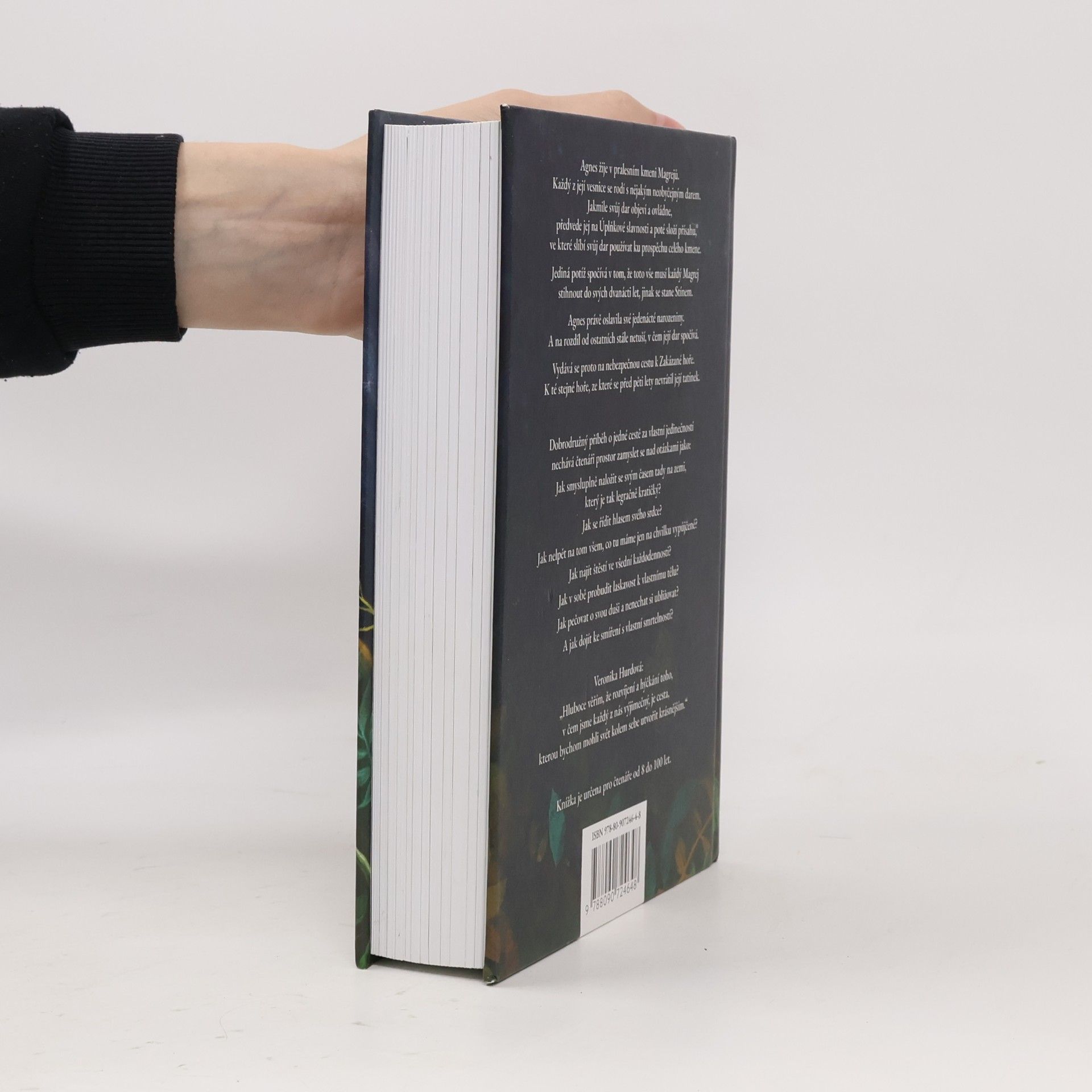 Veronika Hurdová Agnes a Zakázaná hora