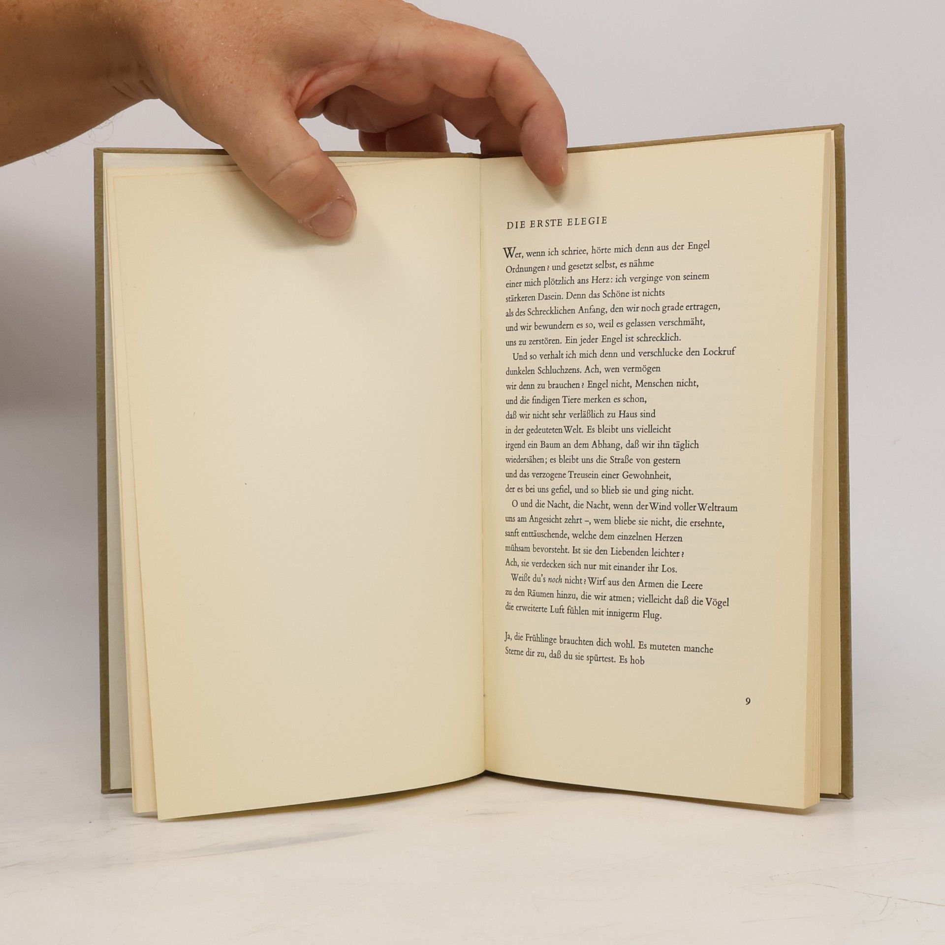 Rainer Maria Rilke Duineser Elegien