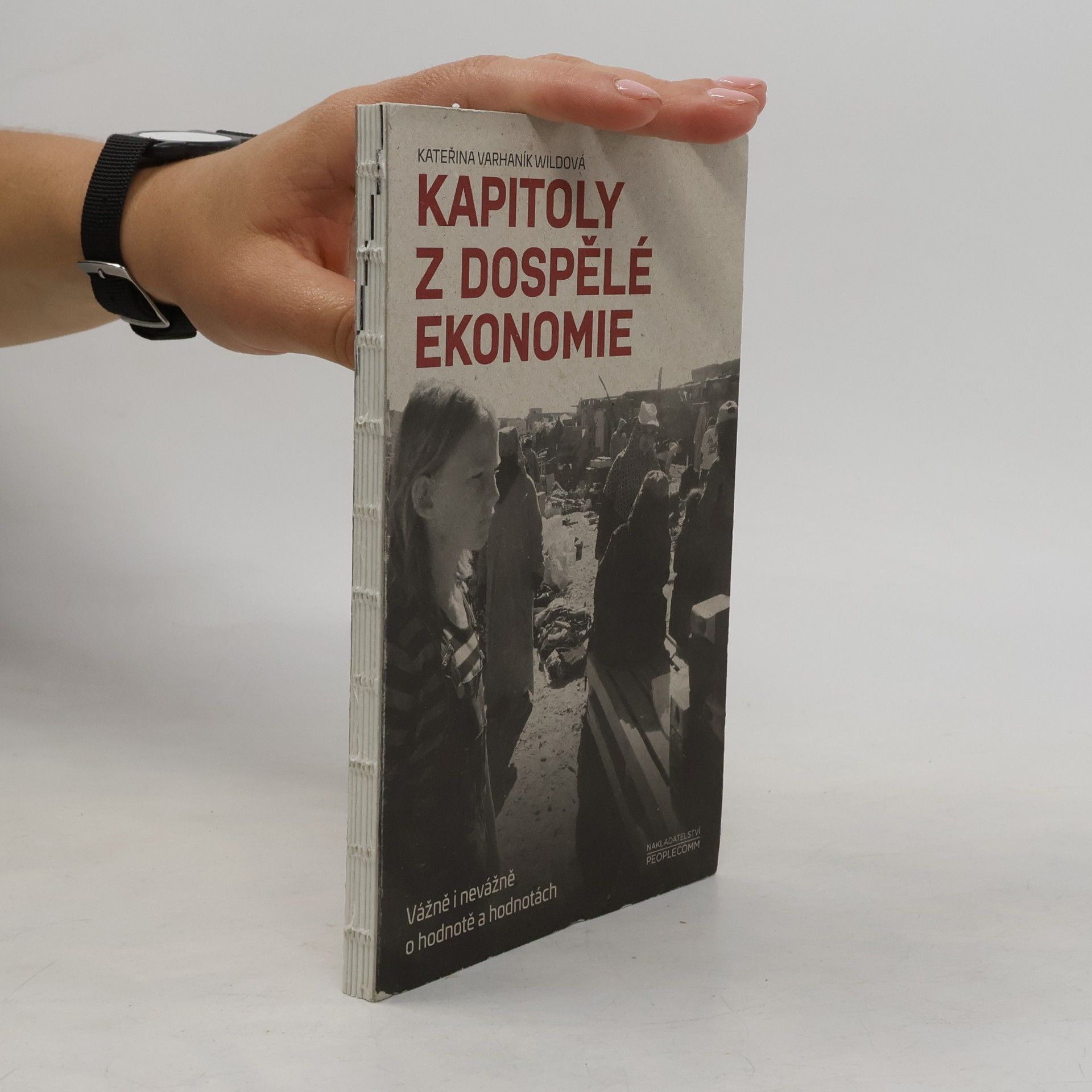 Kapitoly z dospělé ekonomie : vážně i nevážně o hodnotě a hodnotách