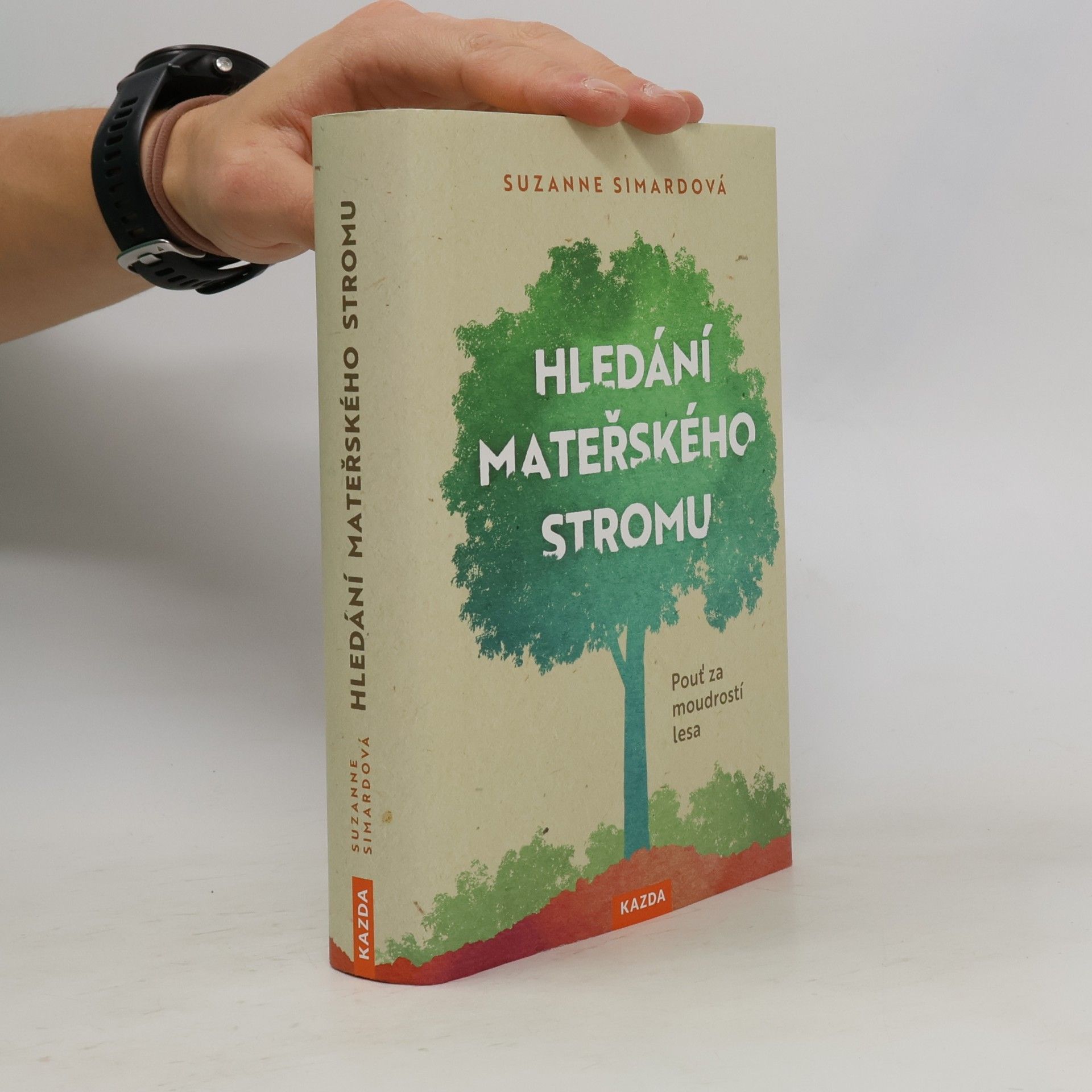 Hledání mateřského stromu