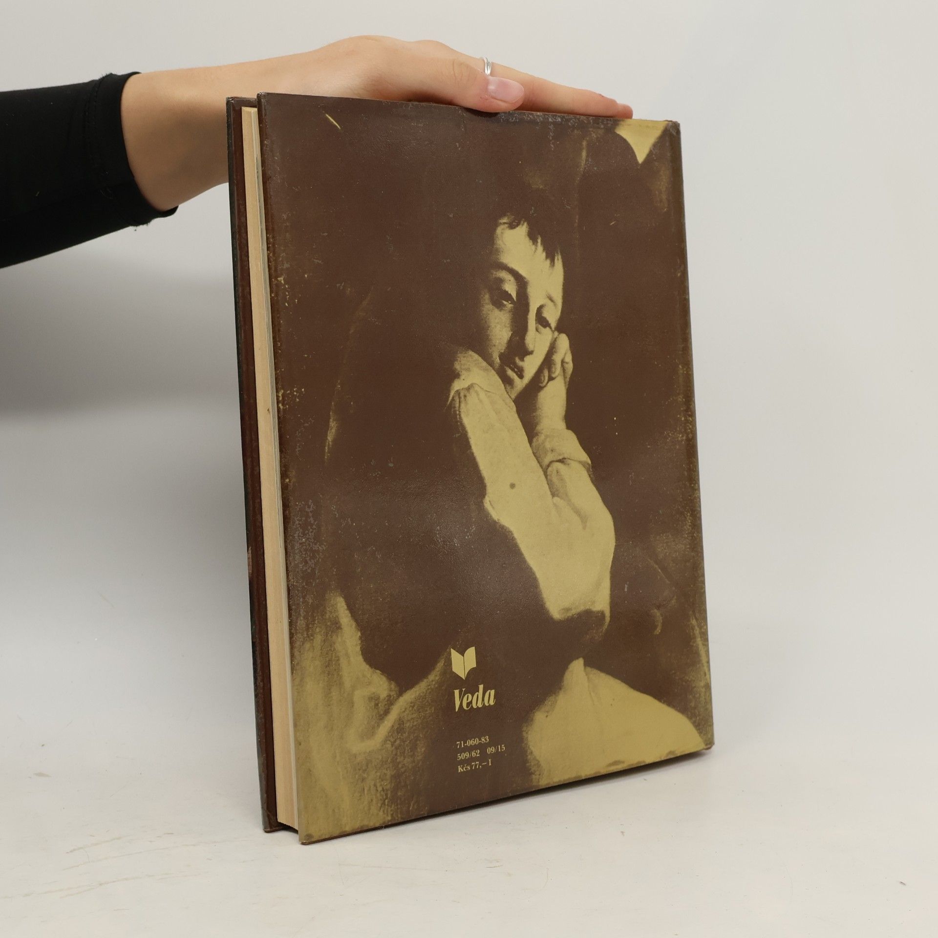 Anna PetrováPleskotová Maliarstvo 18. storočia na Slovensku