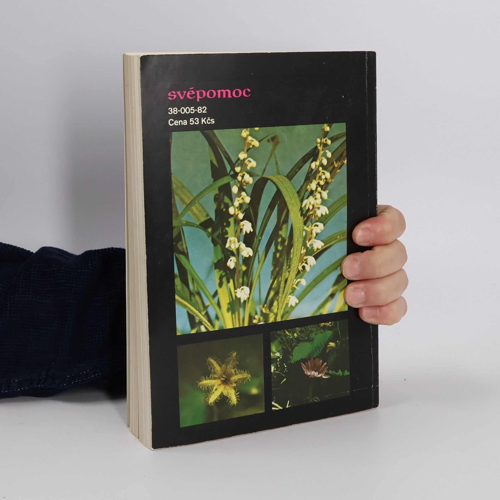 Autores varios 333x jak a proč