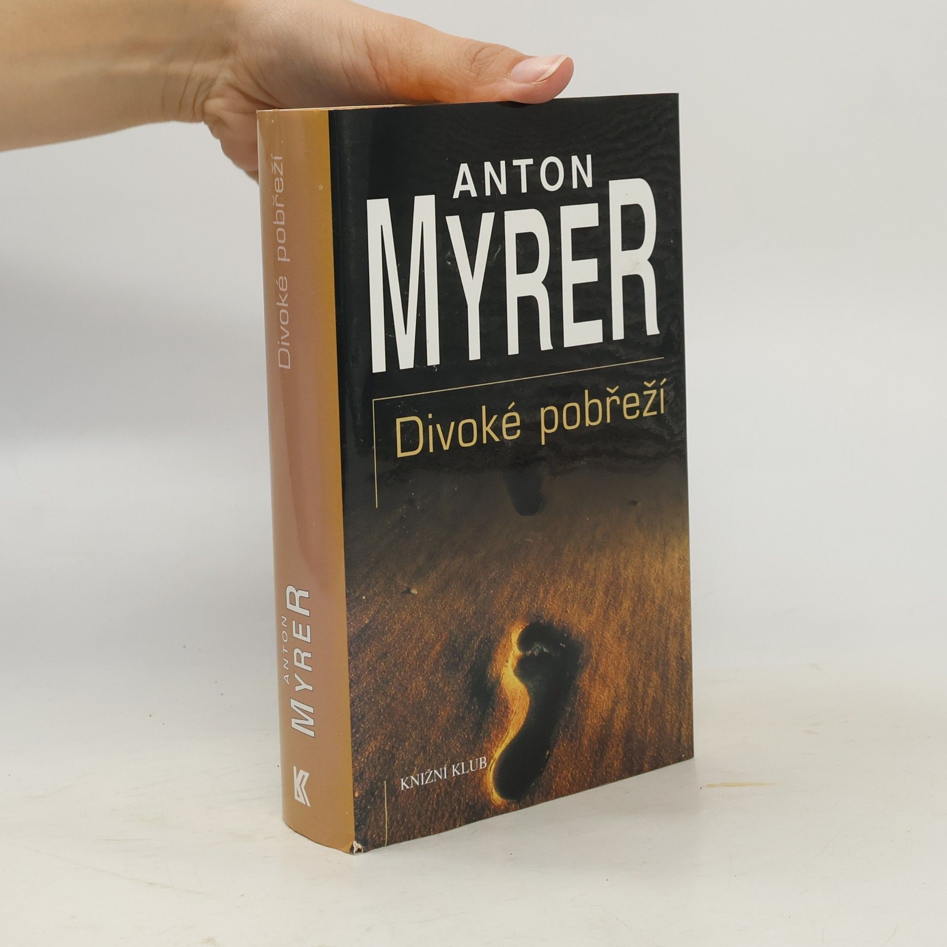 Divoké pobřeží