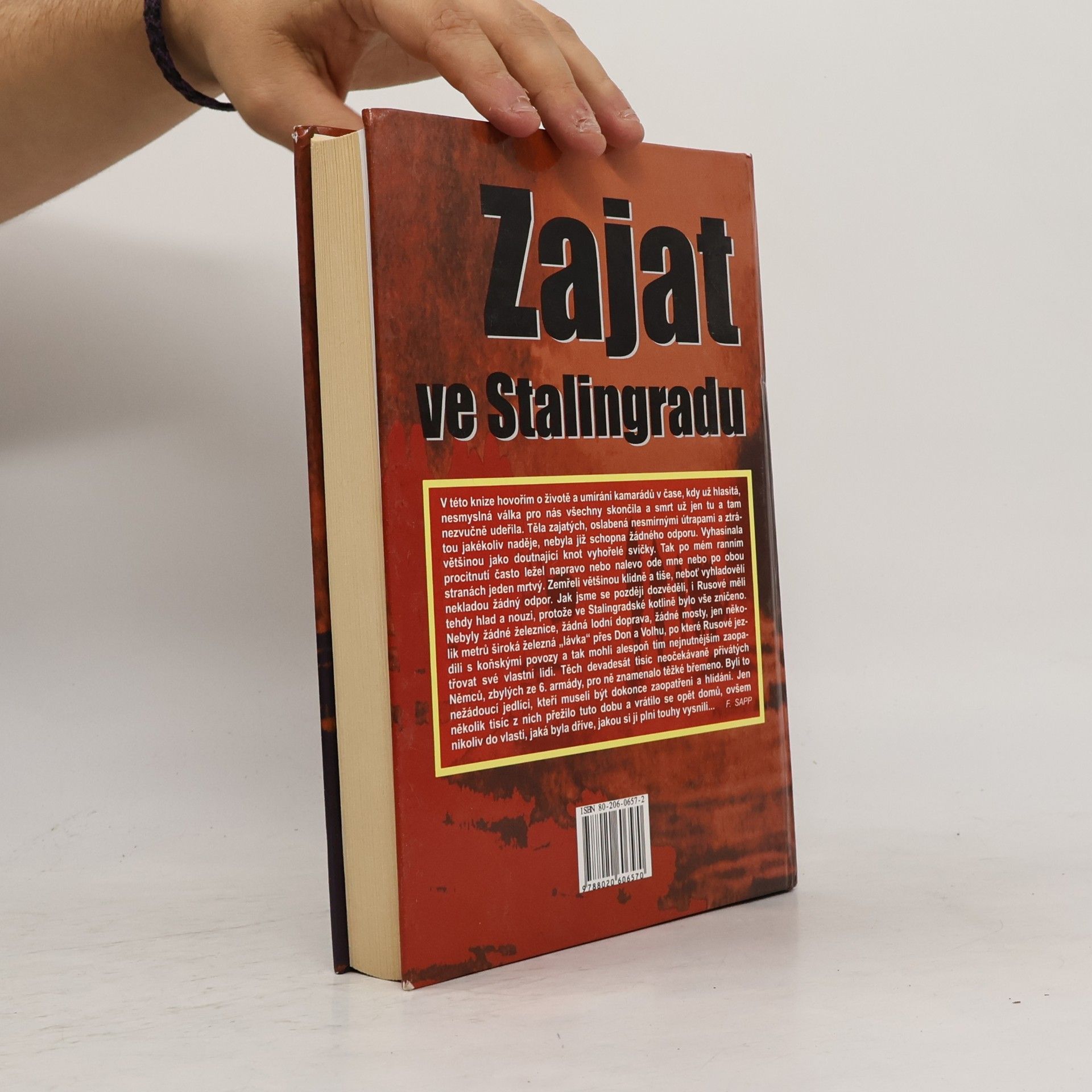 Franz Sapp Zajat ve Stalingradu. Dramatický osud německého vojáka 1943-1946