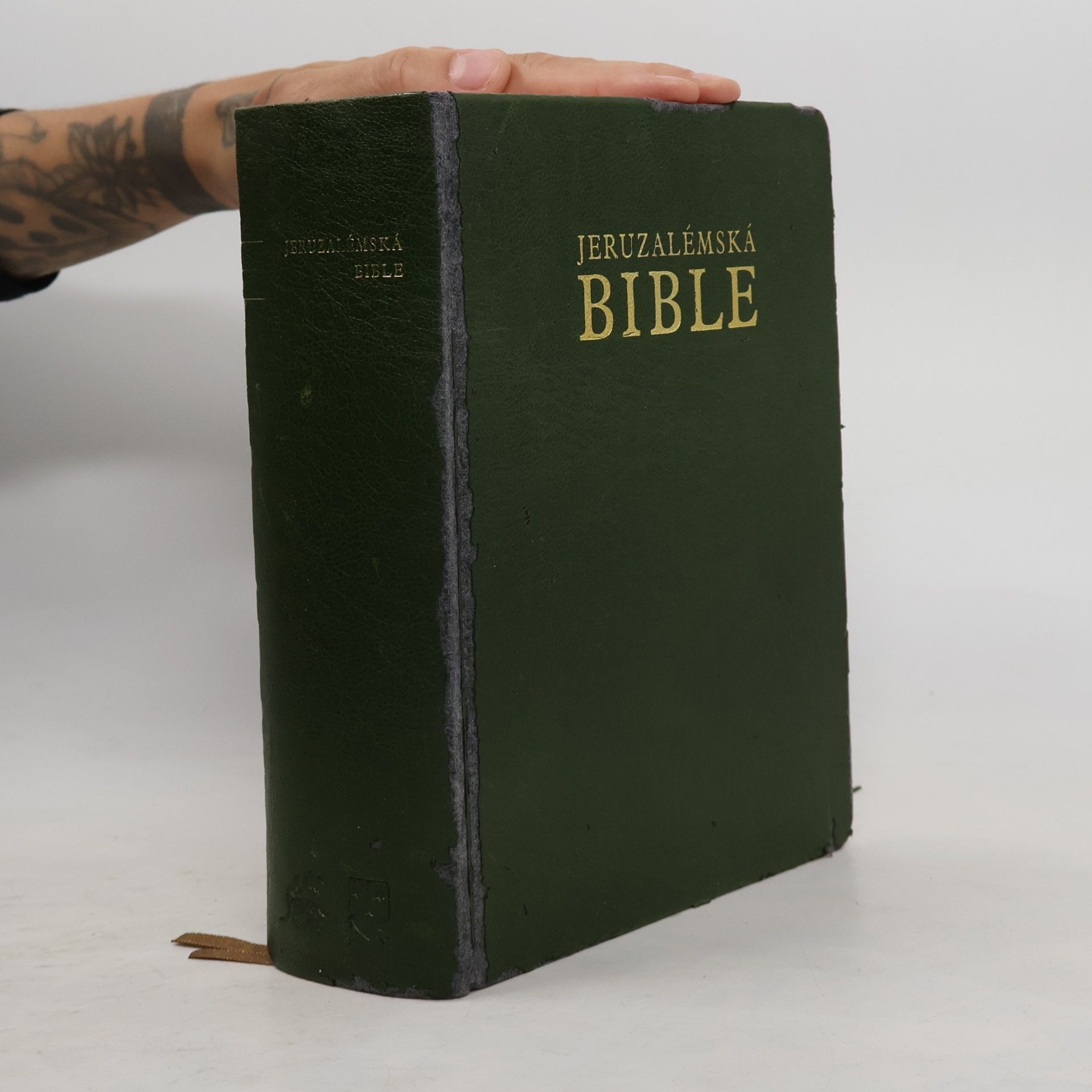Kolektiv autorů Jeruzalémská bible : Písmo svaté vydané Jeruzalémskou biblickou školou