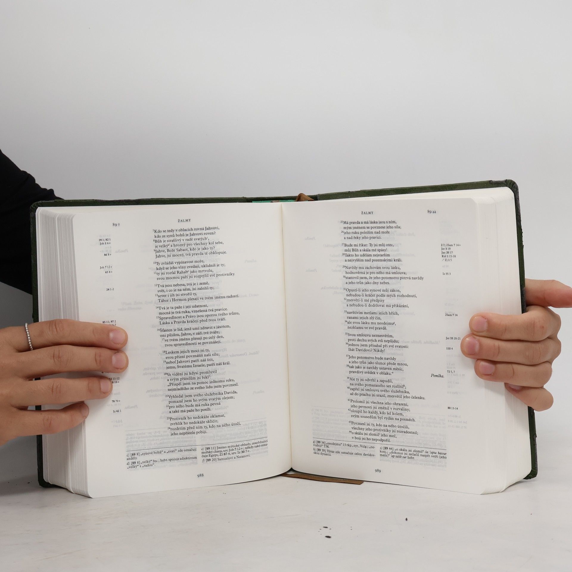 Kolektiv autorů Jeruzalémská bible : Písmo svaté vydané Jeruzalémskou biblickou školou