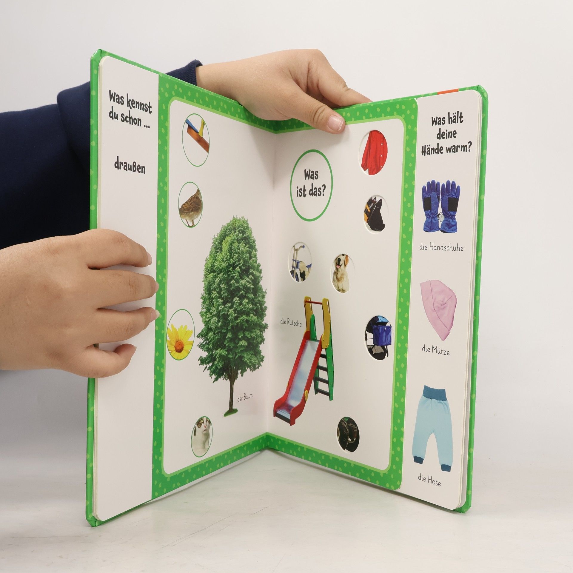 Autorenkollektiv Mein erstes Bildwörterbuch. Erste Wörter