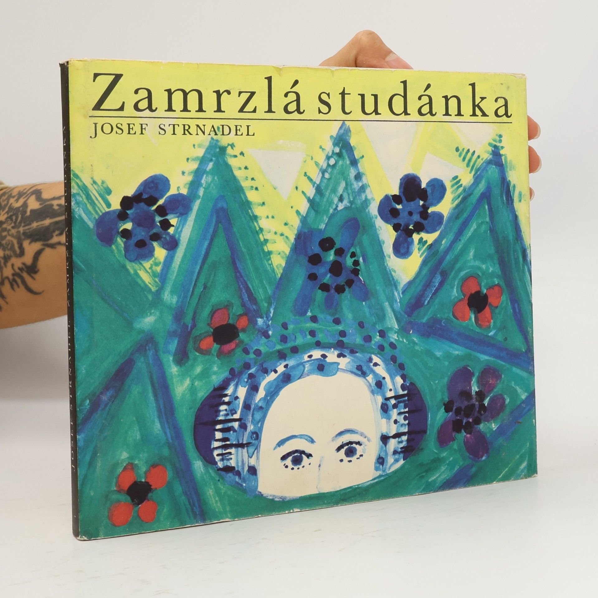Zamrzlá studánka