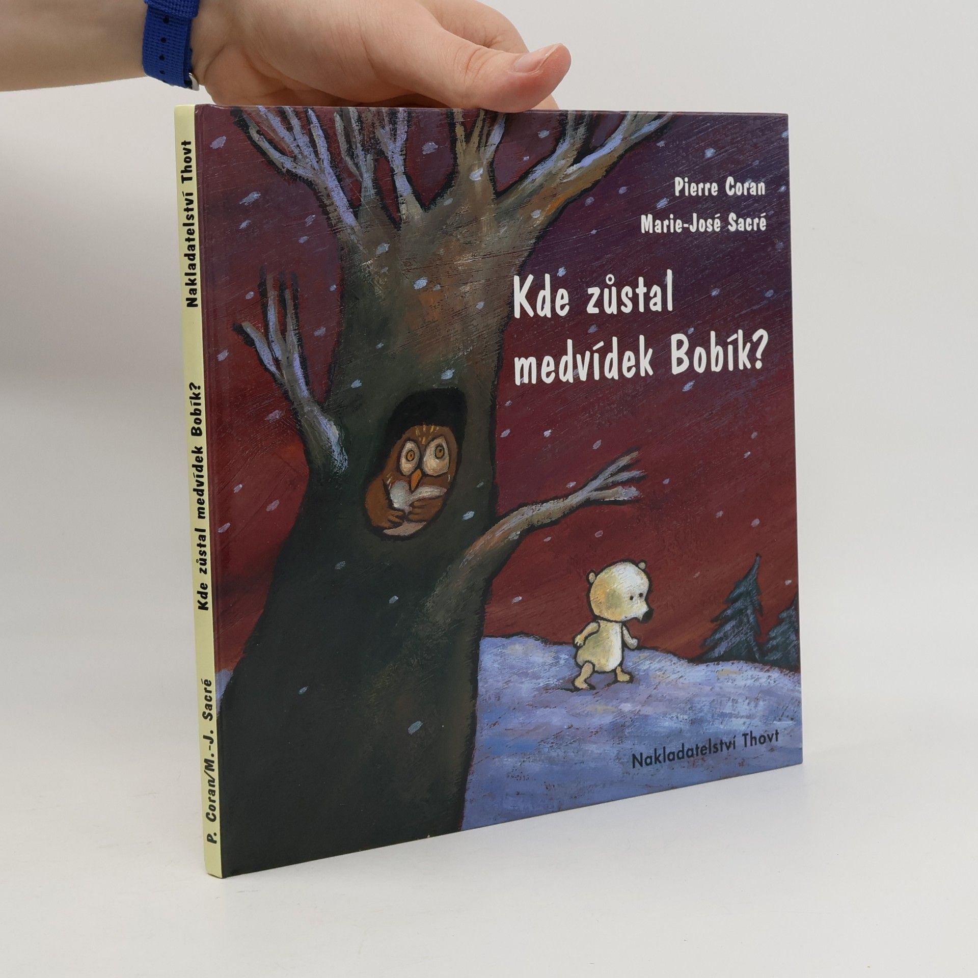 Kde zůstal medvídek Bobík?