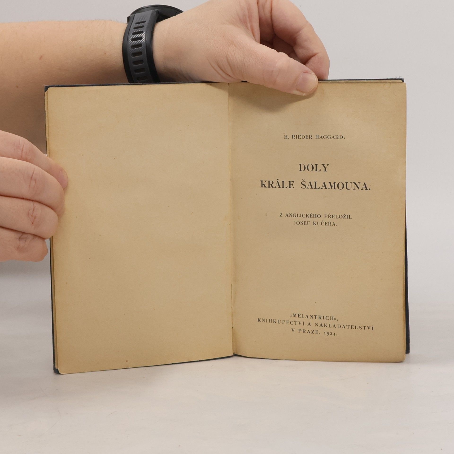 Henry Rider Haggard Doly krále Šalamouna