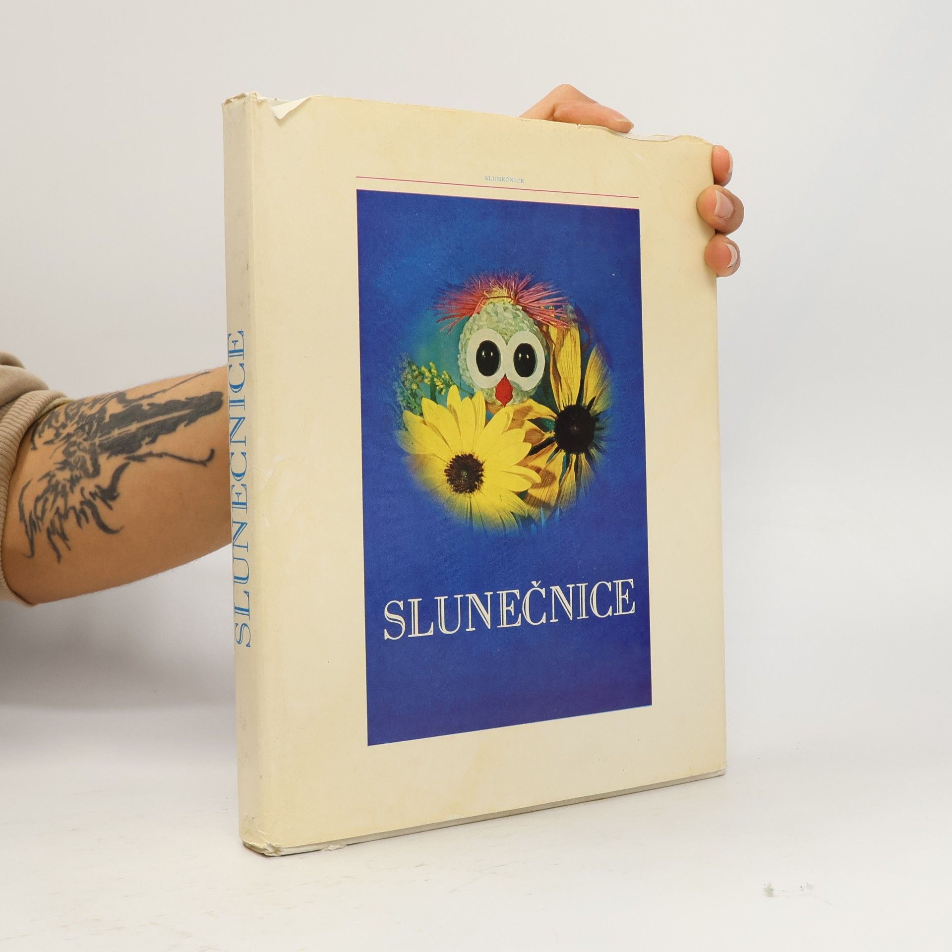 Slunečnice