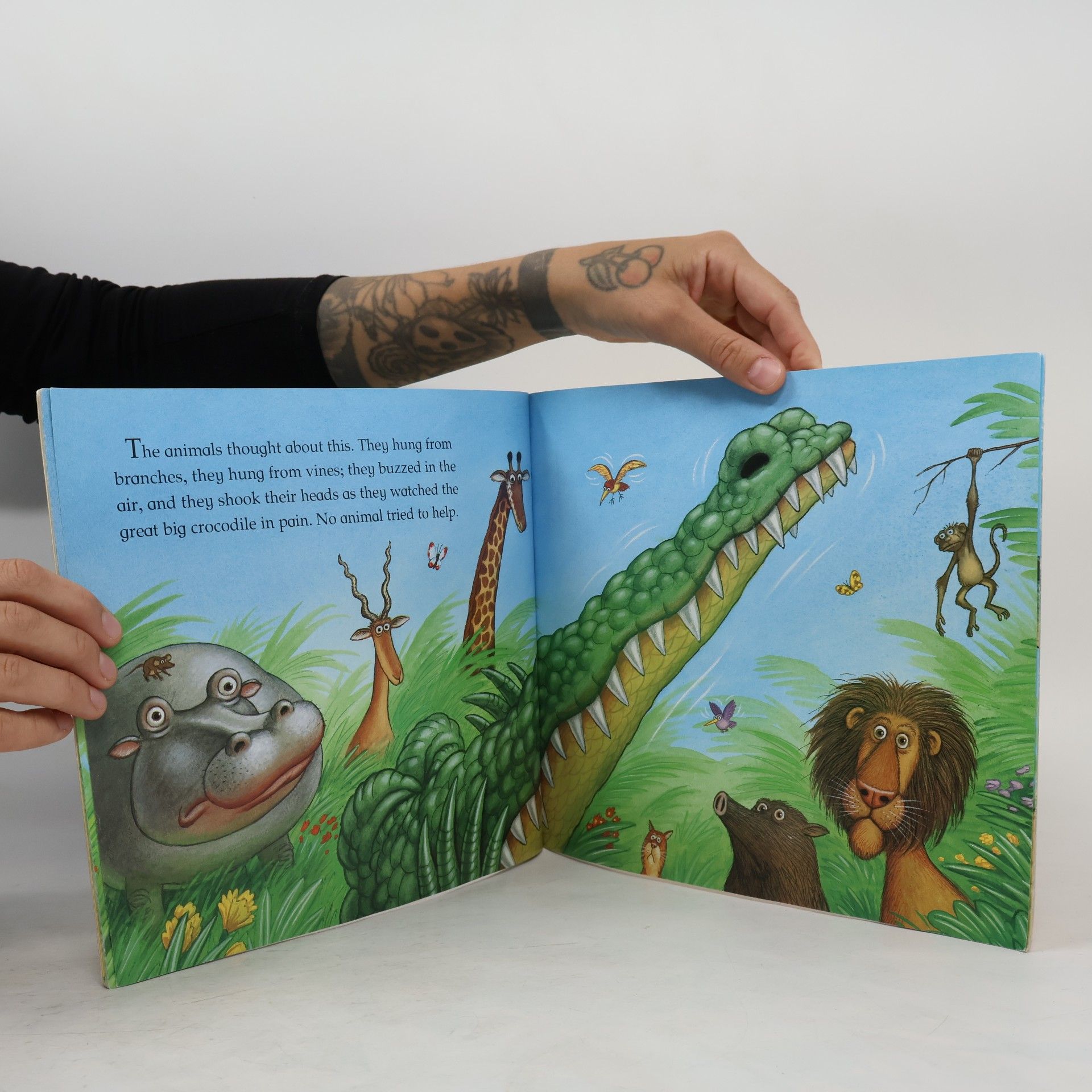 Faustin Charles The Selfish Crocodile. Das sehr unfreundliche Krokodil, englische Ausgabe