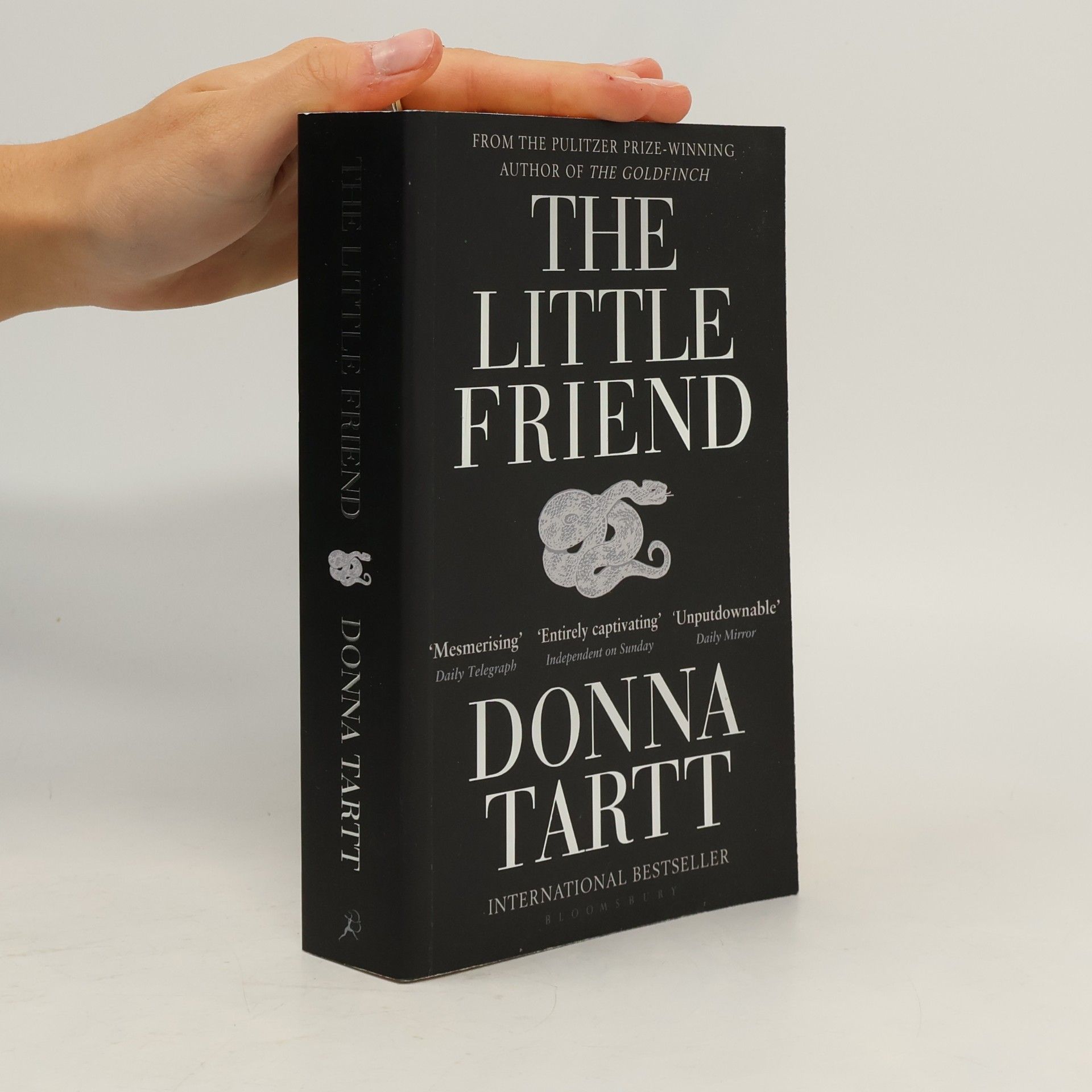 Donna Tarttová The Little Friend