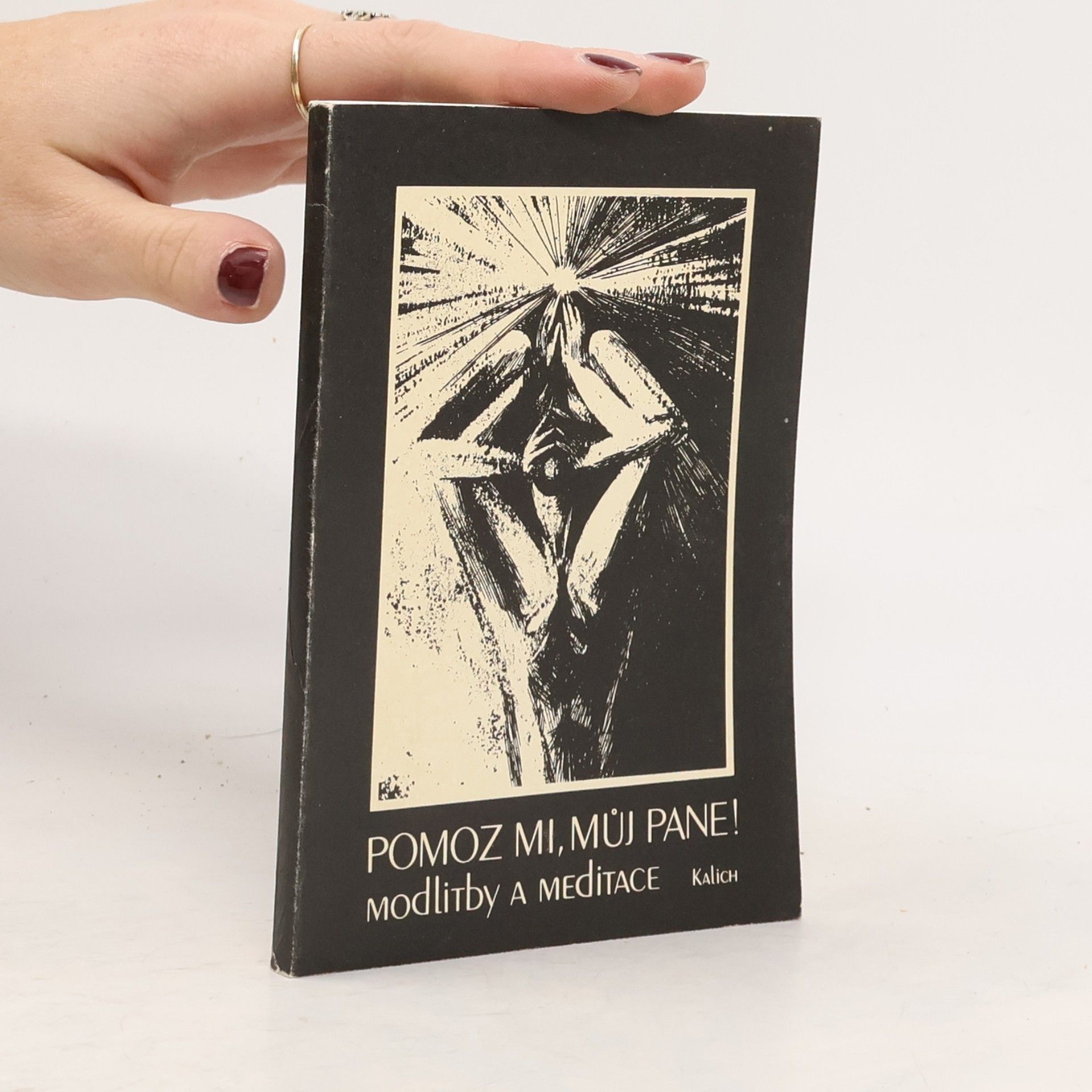 Pomoz mi, můj Pane: Modlitby a meditace